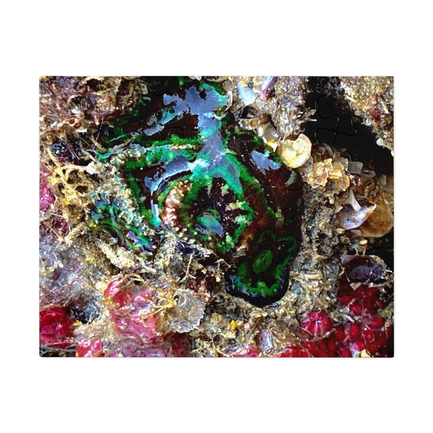 Reef range- Jigsaw Puzzle (30, 110, 252, 500,1000-Piece)