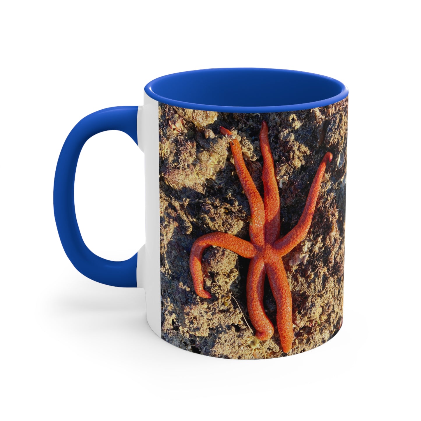 Reef range- AUS PRINT Colorful Accent Mugs, 11oz
