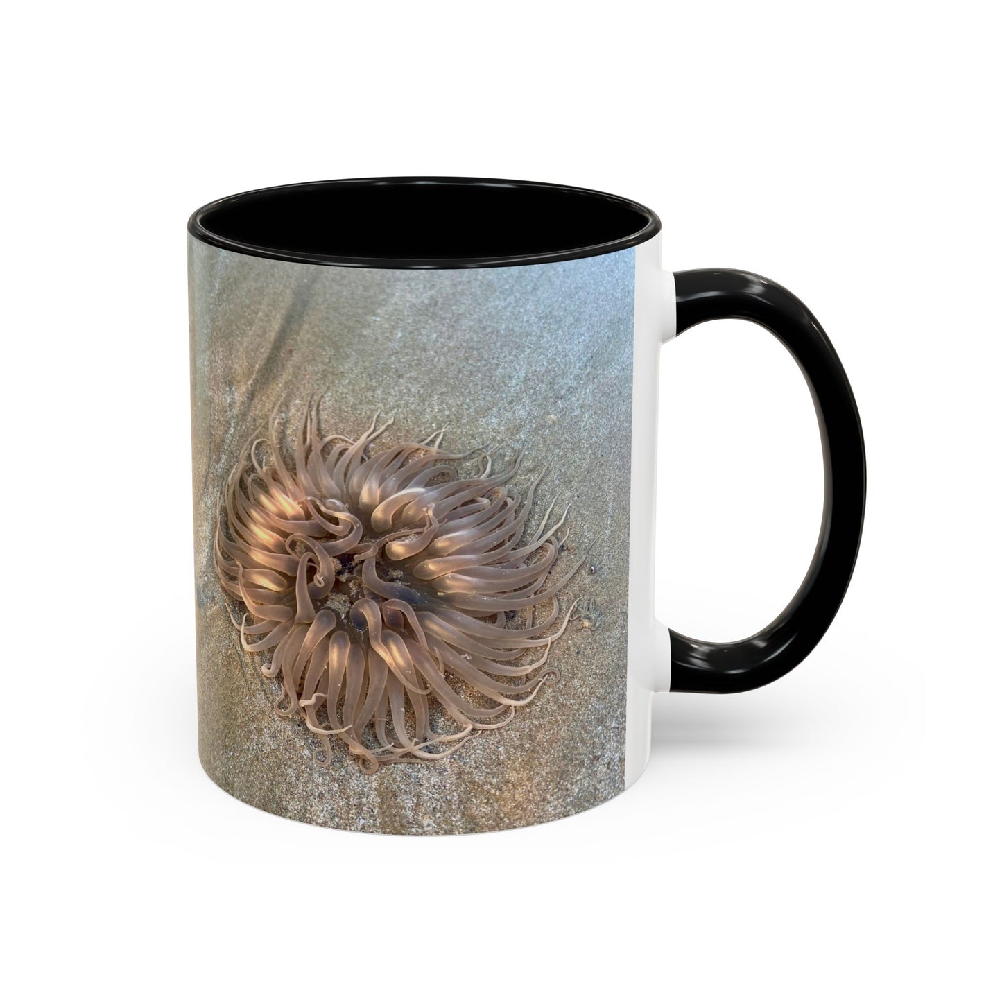 Reef range Accent Coffee Mug (11, 15oz)