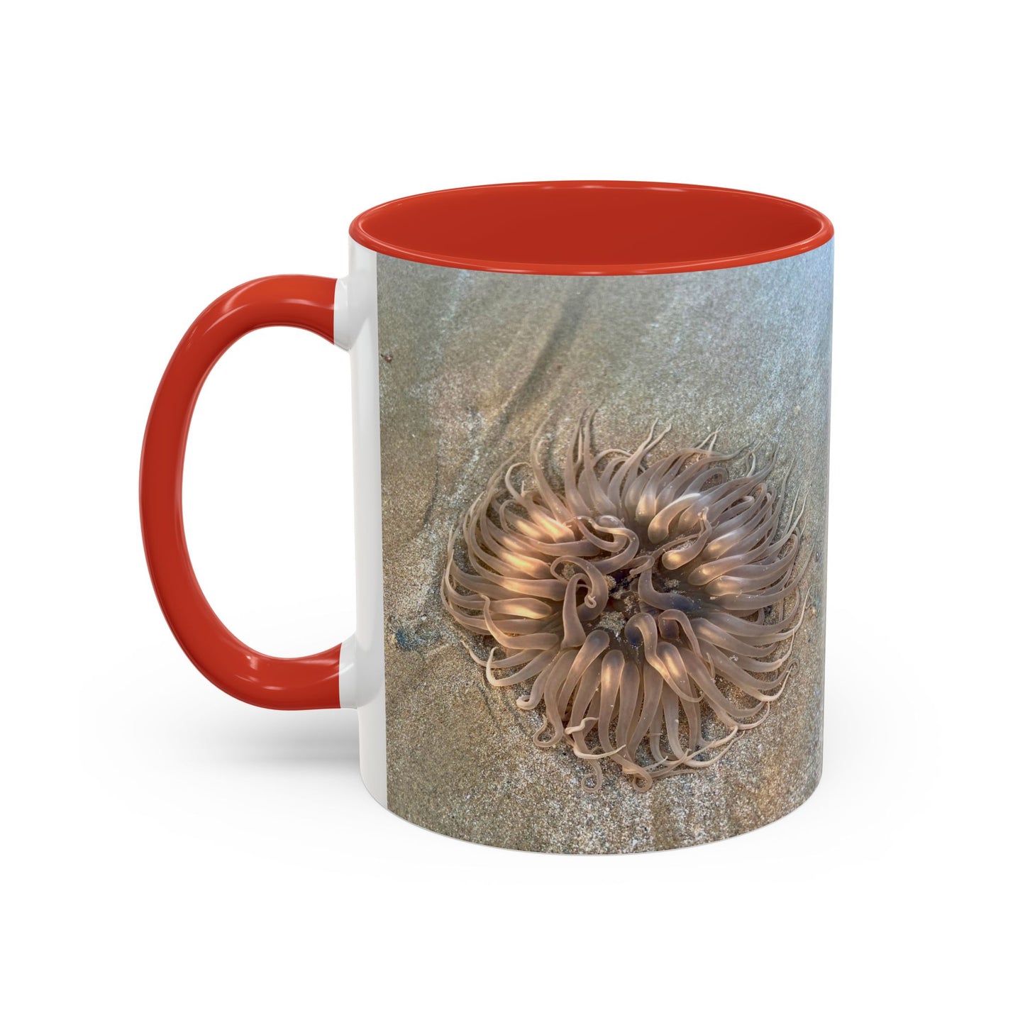 Reef range Accent Coffee Mug (11, 15oz)