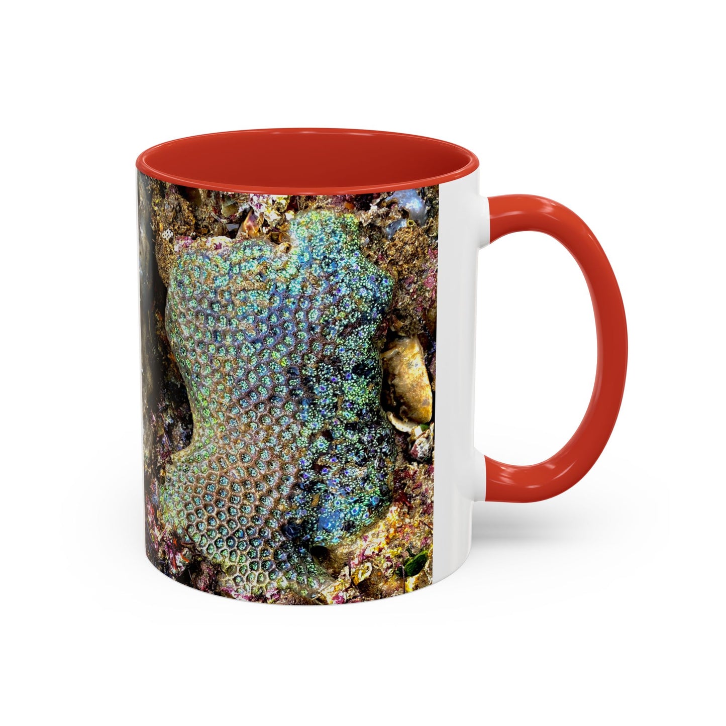 Reef range Accent Coffee Mug (11, 15oz)