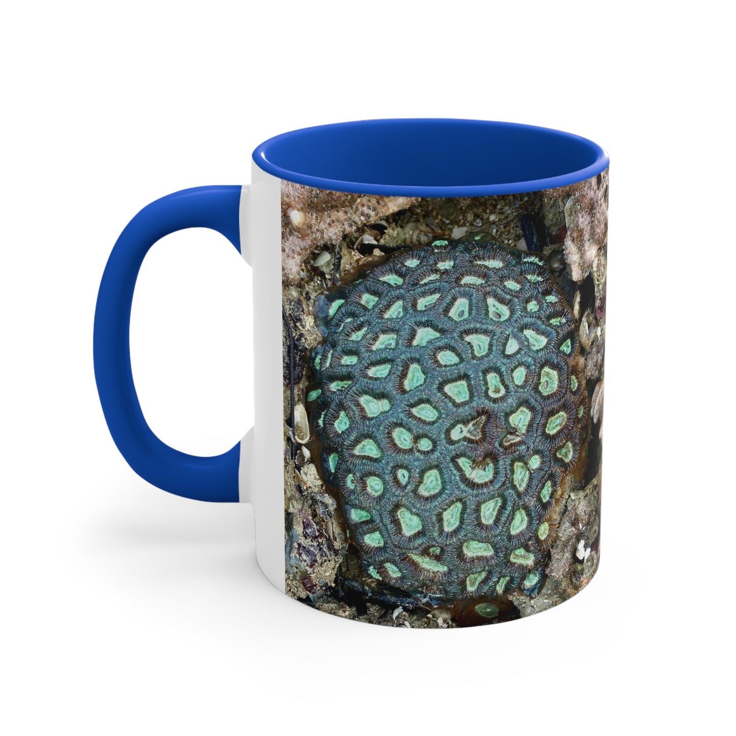 Reef range- AUS PRINT Colourful Accent Mugs, 11oz