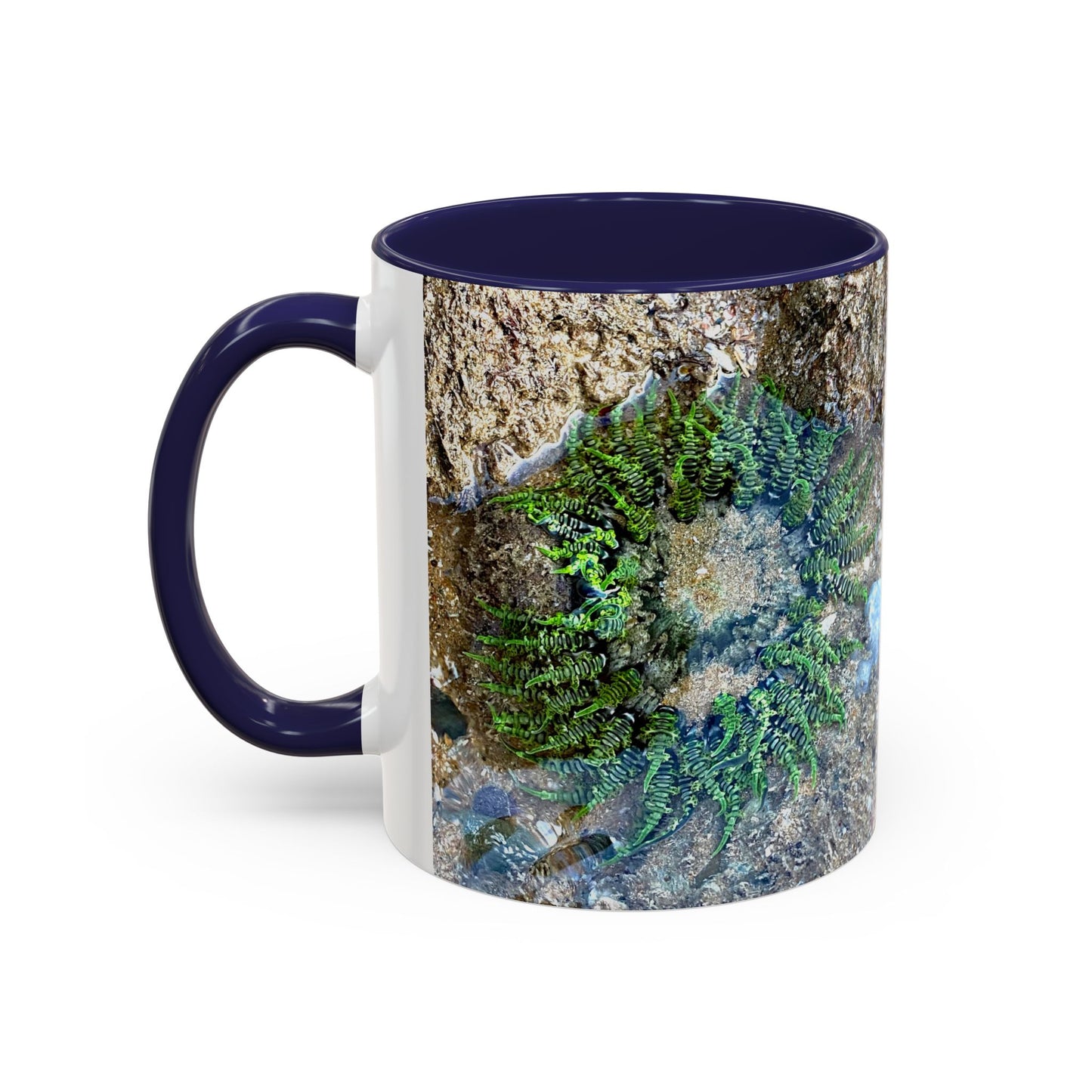 Reef range Accent Coffee Mug (11, 15oz)