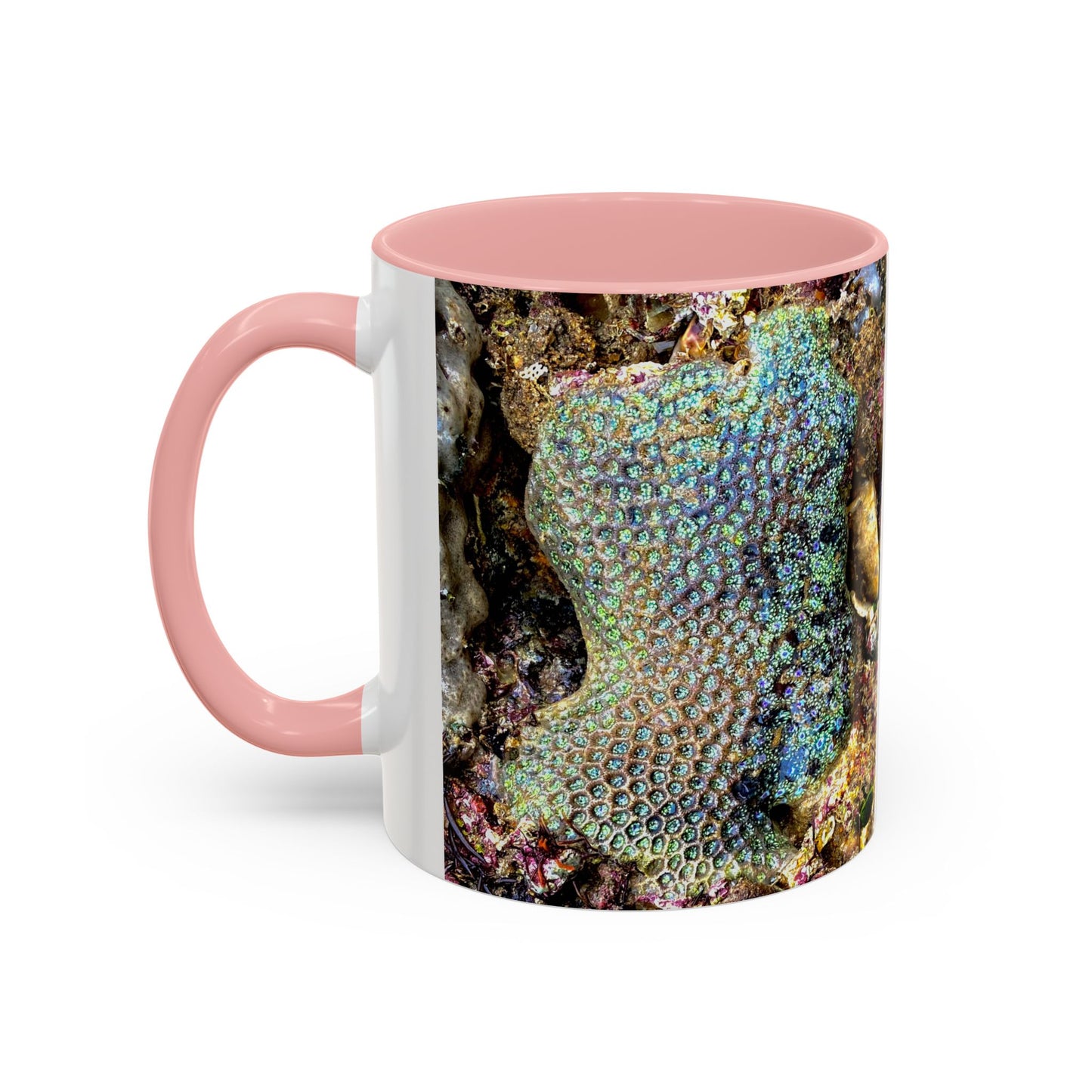Reef range Accent Coffee Mug (11, 15oz)