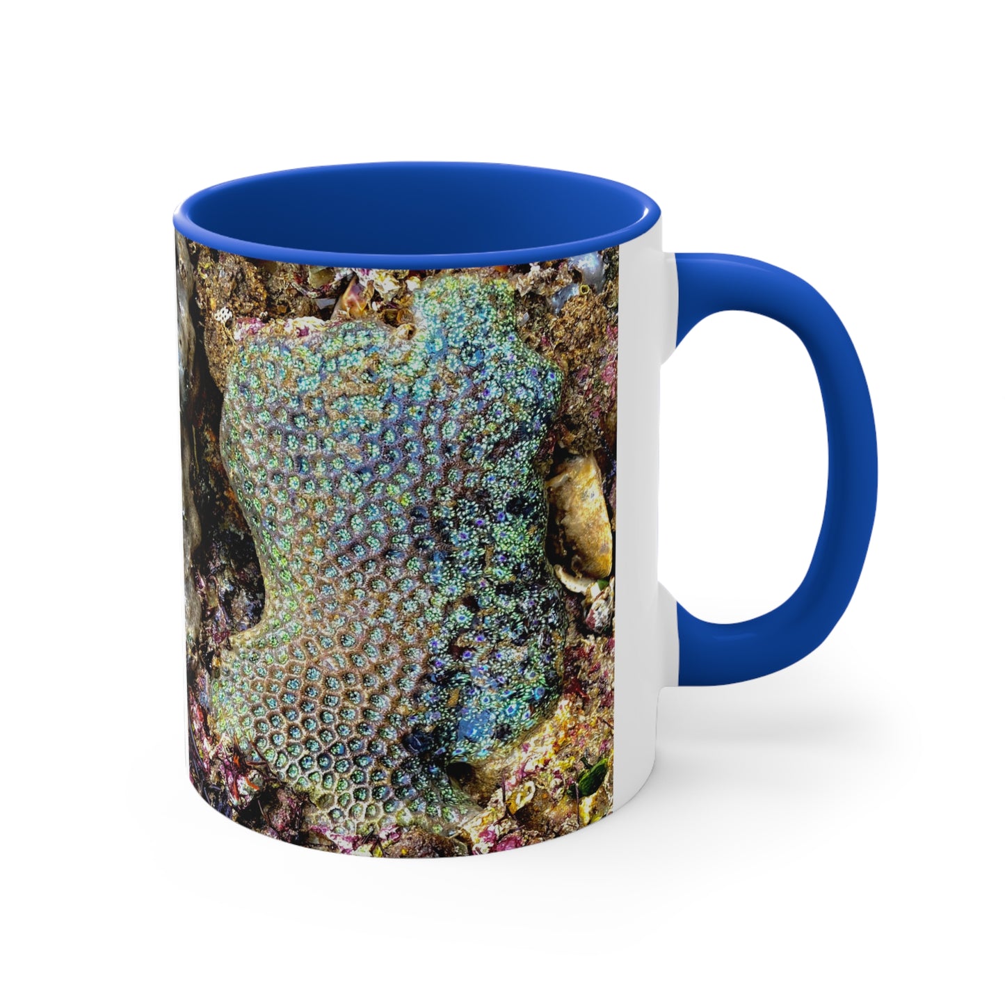 Reef range- AUS PRINT Colorful Accent Mugs, 11oz
