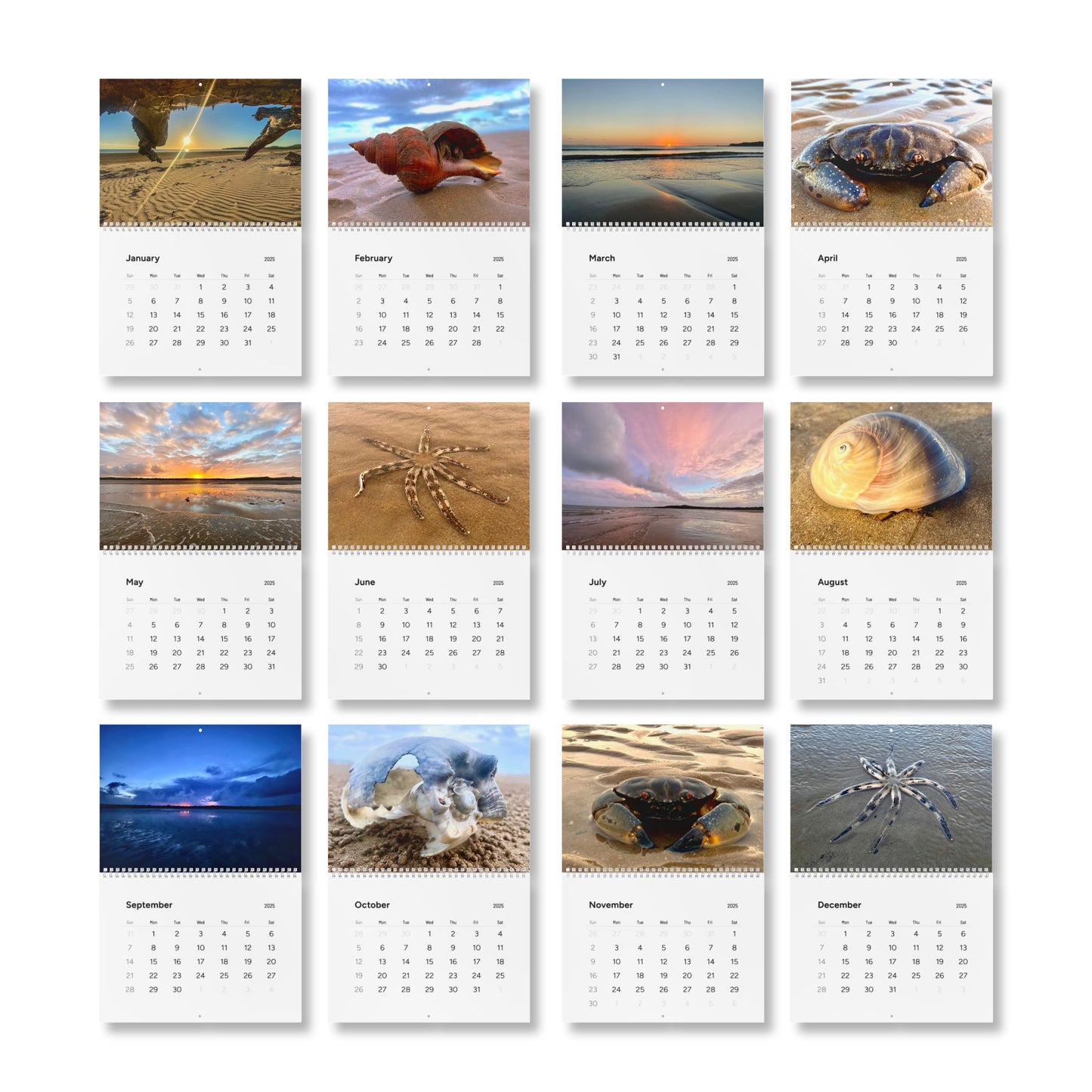 Beach Lovers range- AUS PRINT Standard Wall Calendar (2025)