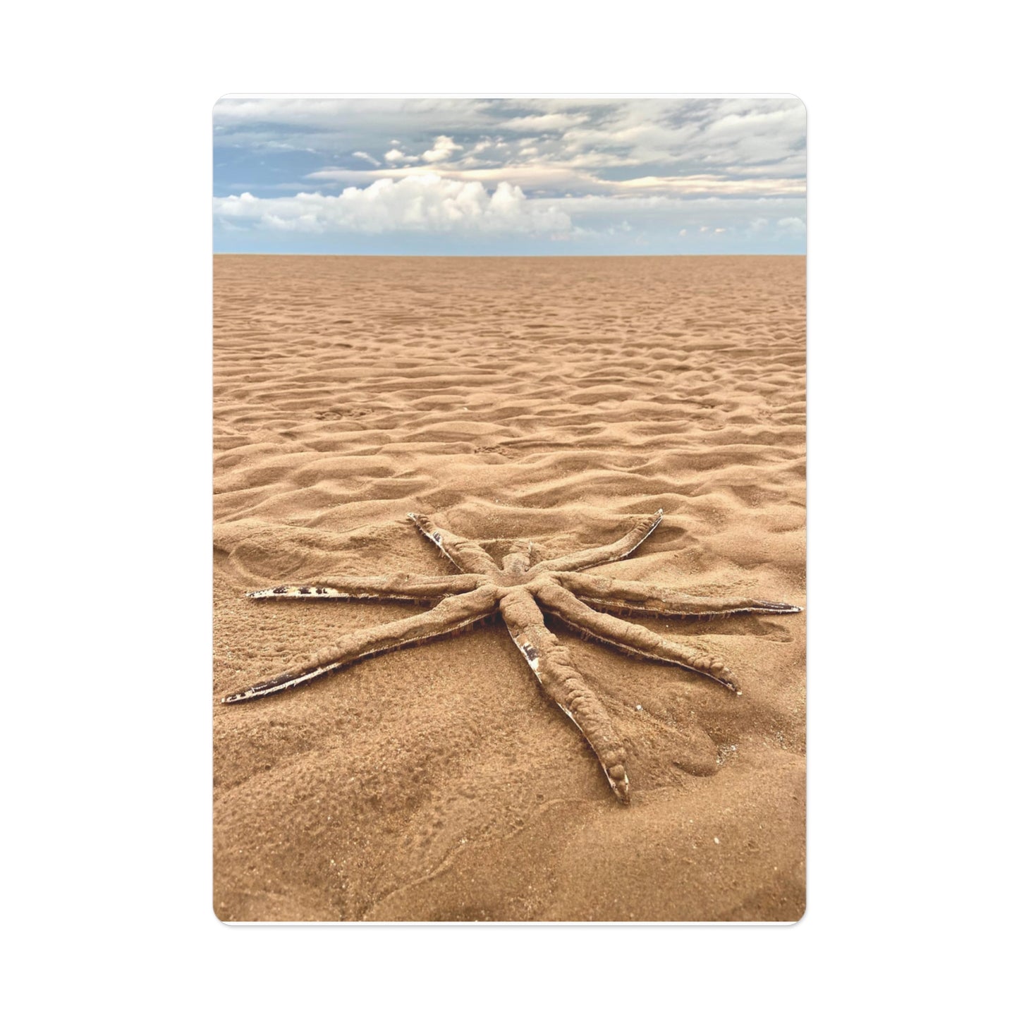 Beach Lovers range- Poker Cards