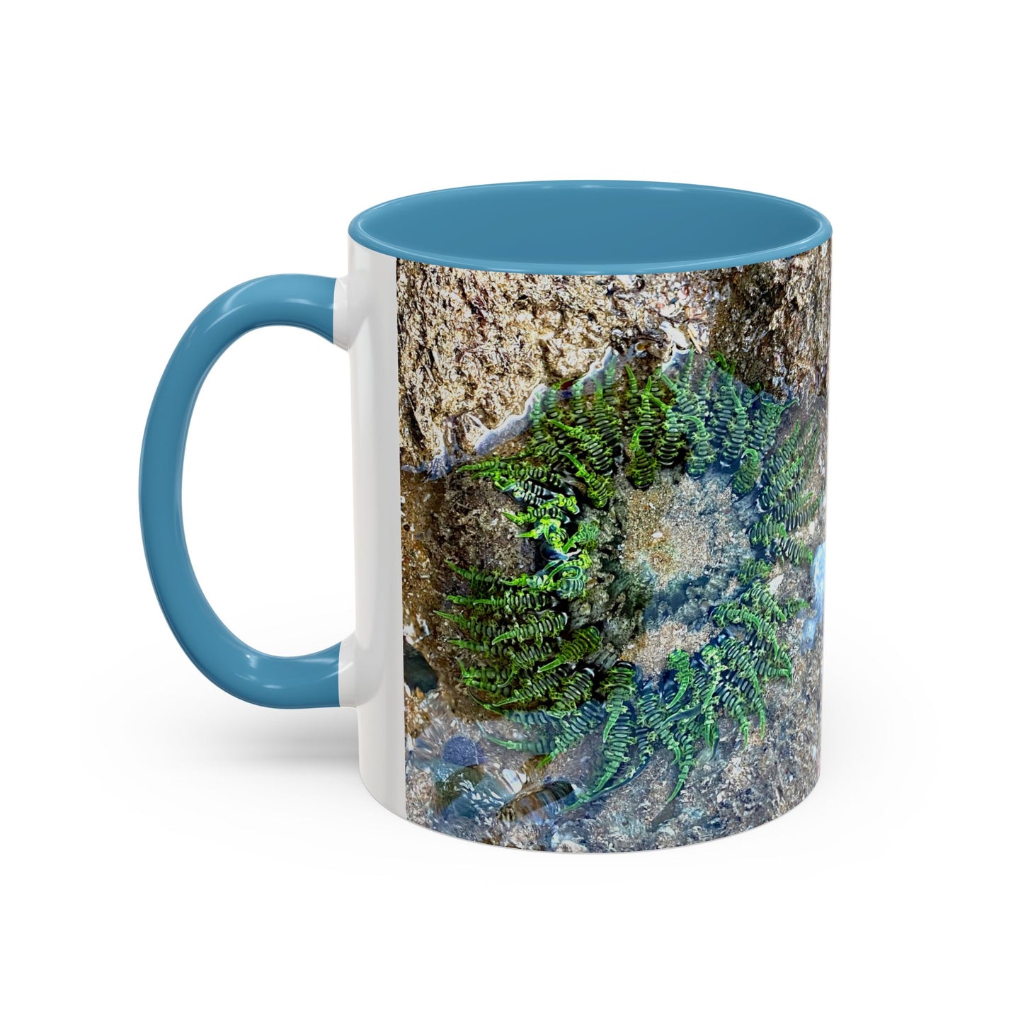 Reef range Accent Coffee Mug (11, 15oz)