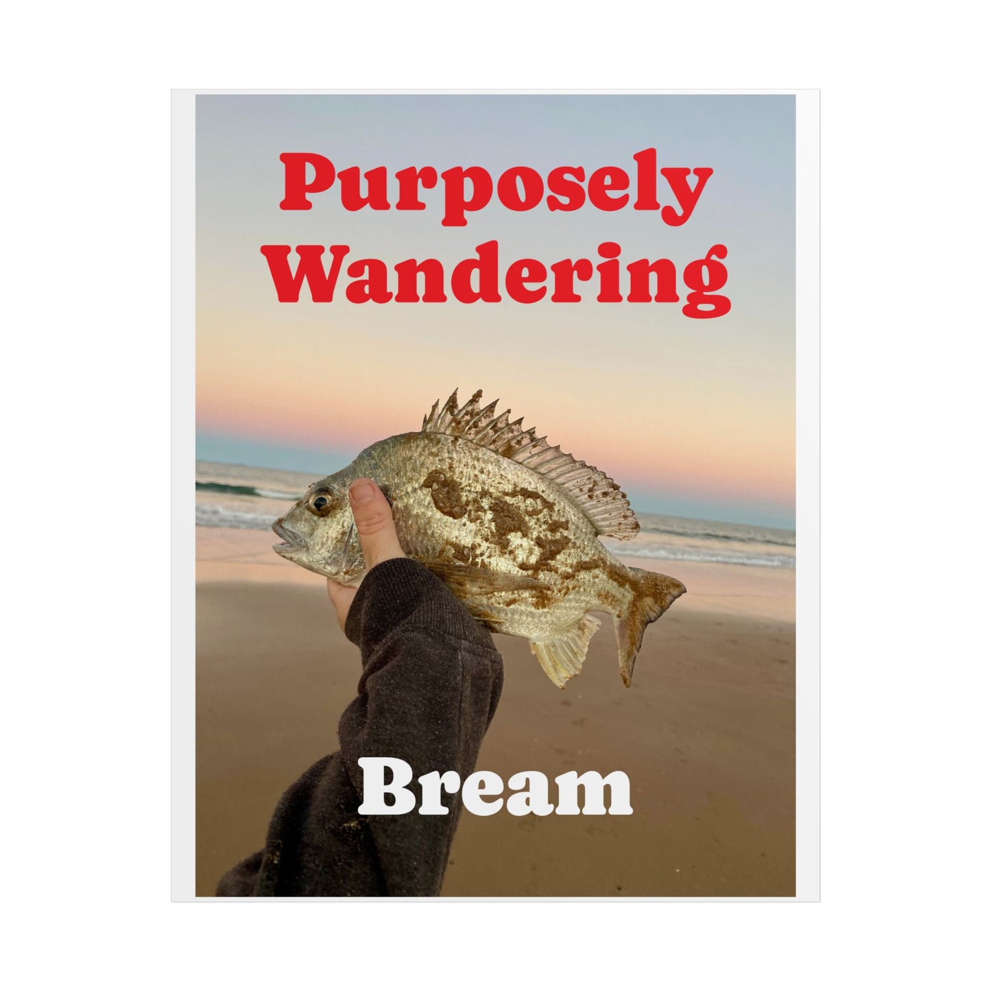 Bream Fishing Unframed Poster - Nature Lover's Wall Art - Purposely Wandering Decor