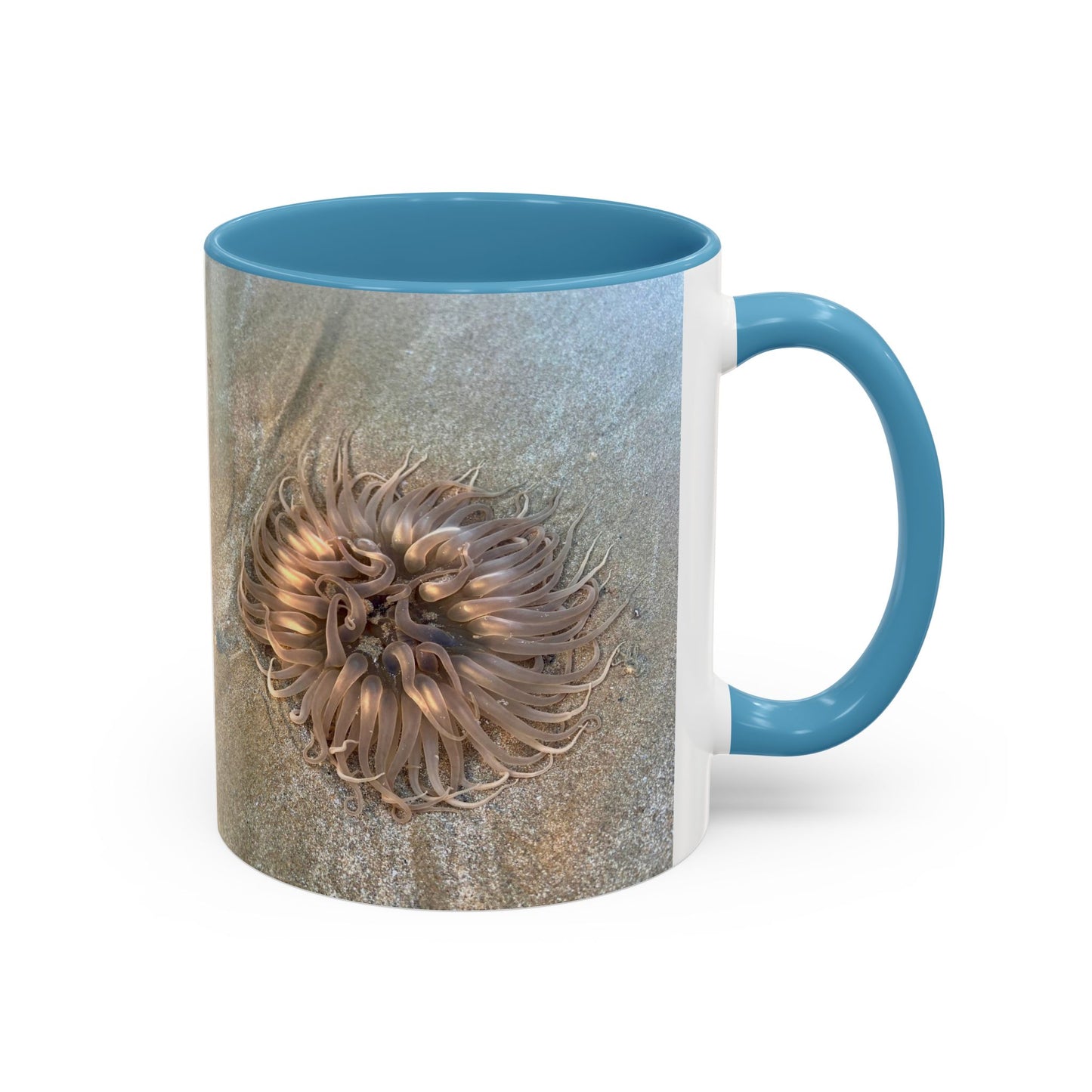 Purposely Wandering Accent Coffee Mug - Unique 11oz & 15oz Drinkware for Nature Lovers