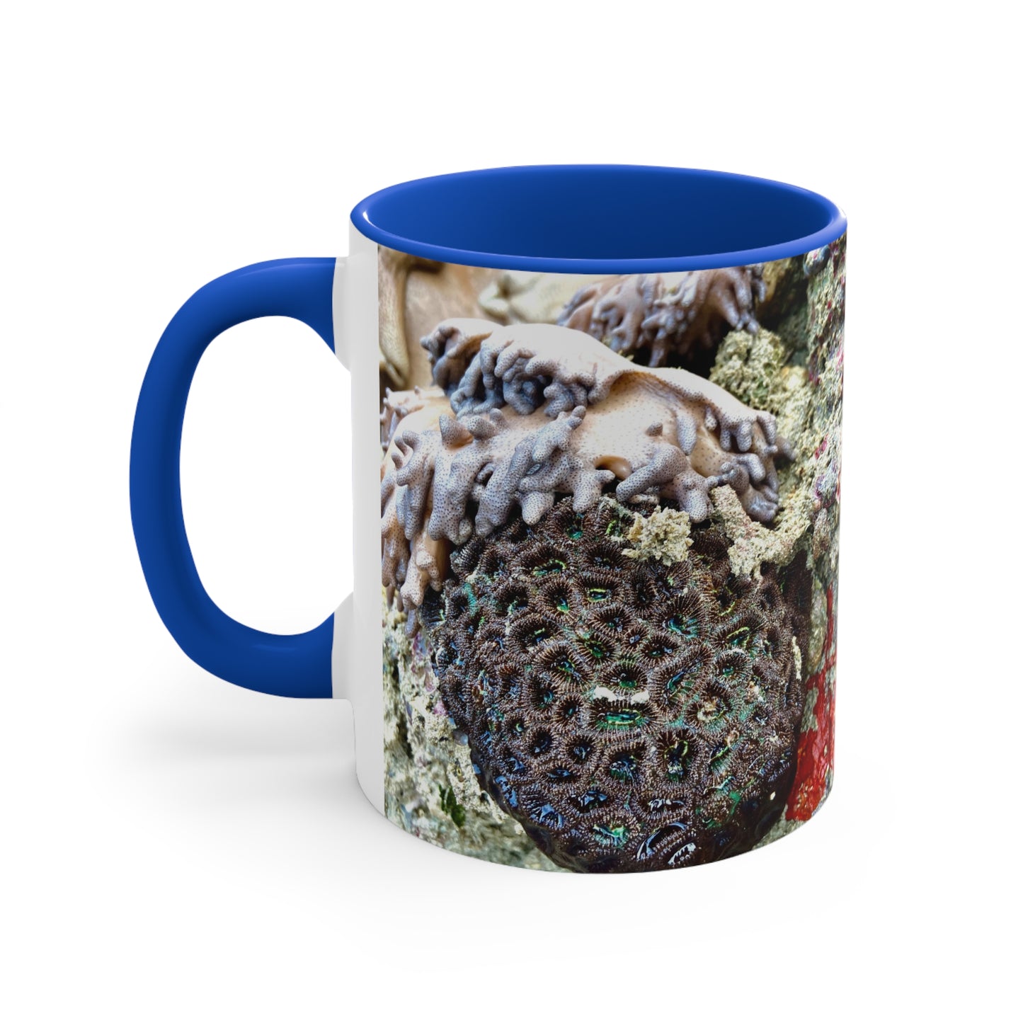 Purposely Wandering Coral Accent Mug - 11oz Colorful Coffee Cup