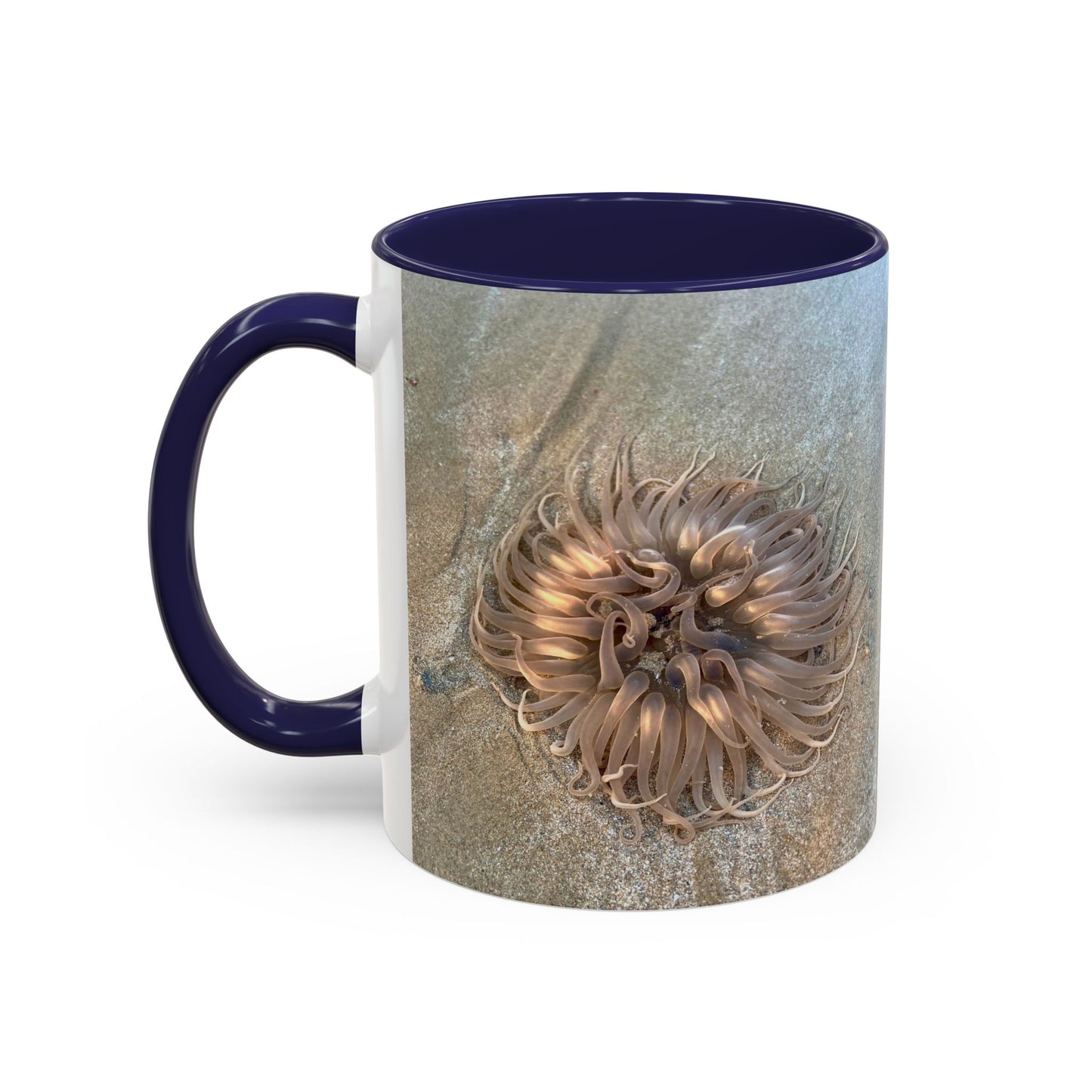 Reef range Accent Coffee Mug (11, 15oz)
