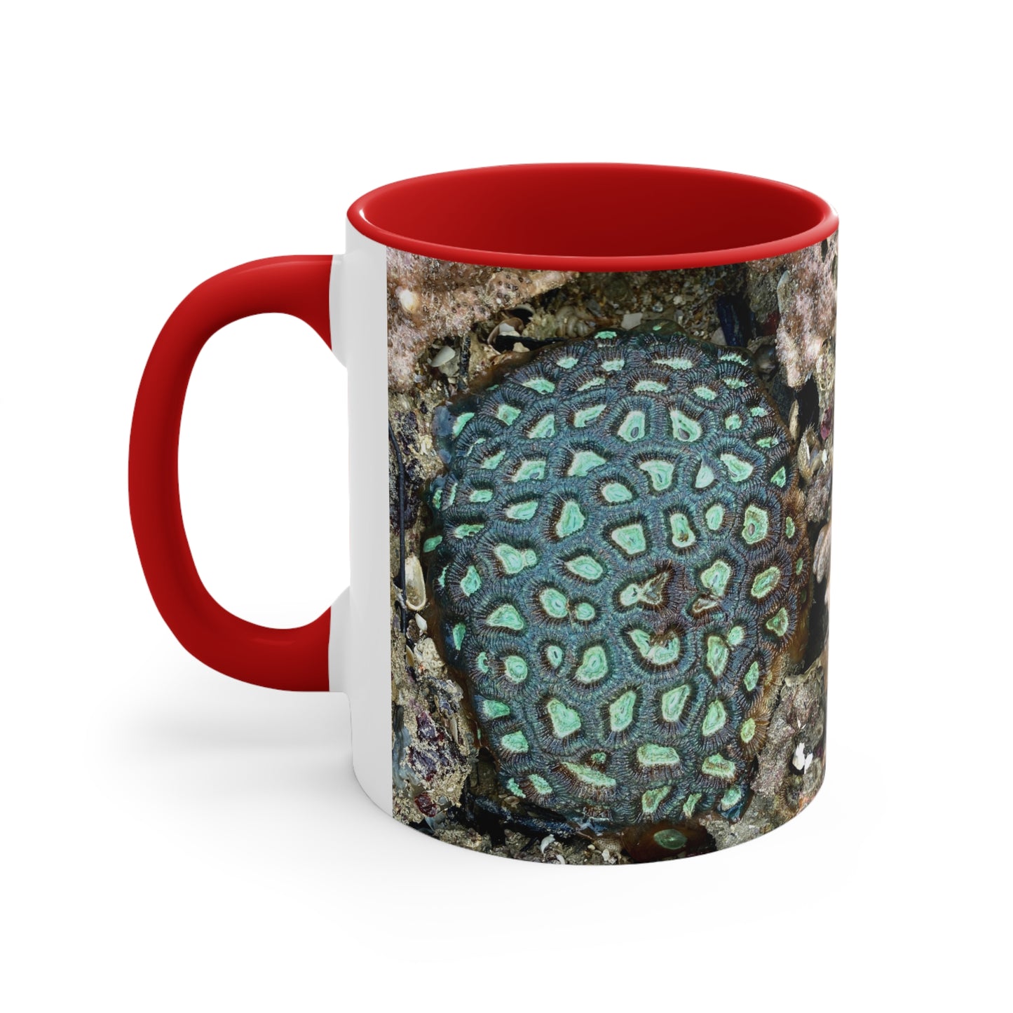 Reef range- AUS PRINT Colourful Accent Mugs, 11oz