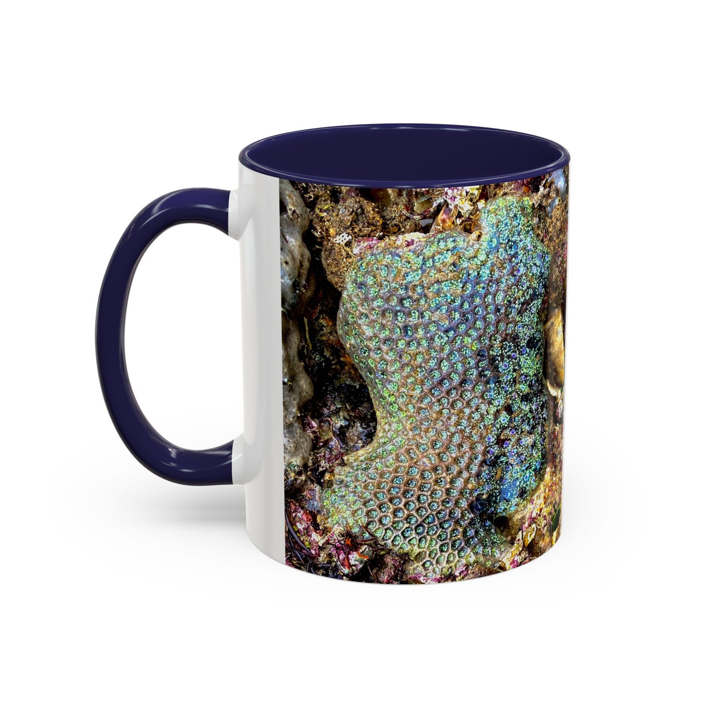 Reef range Accent Coffee Mug (11, 15oz)