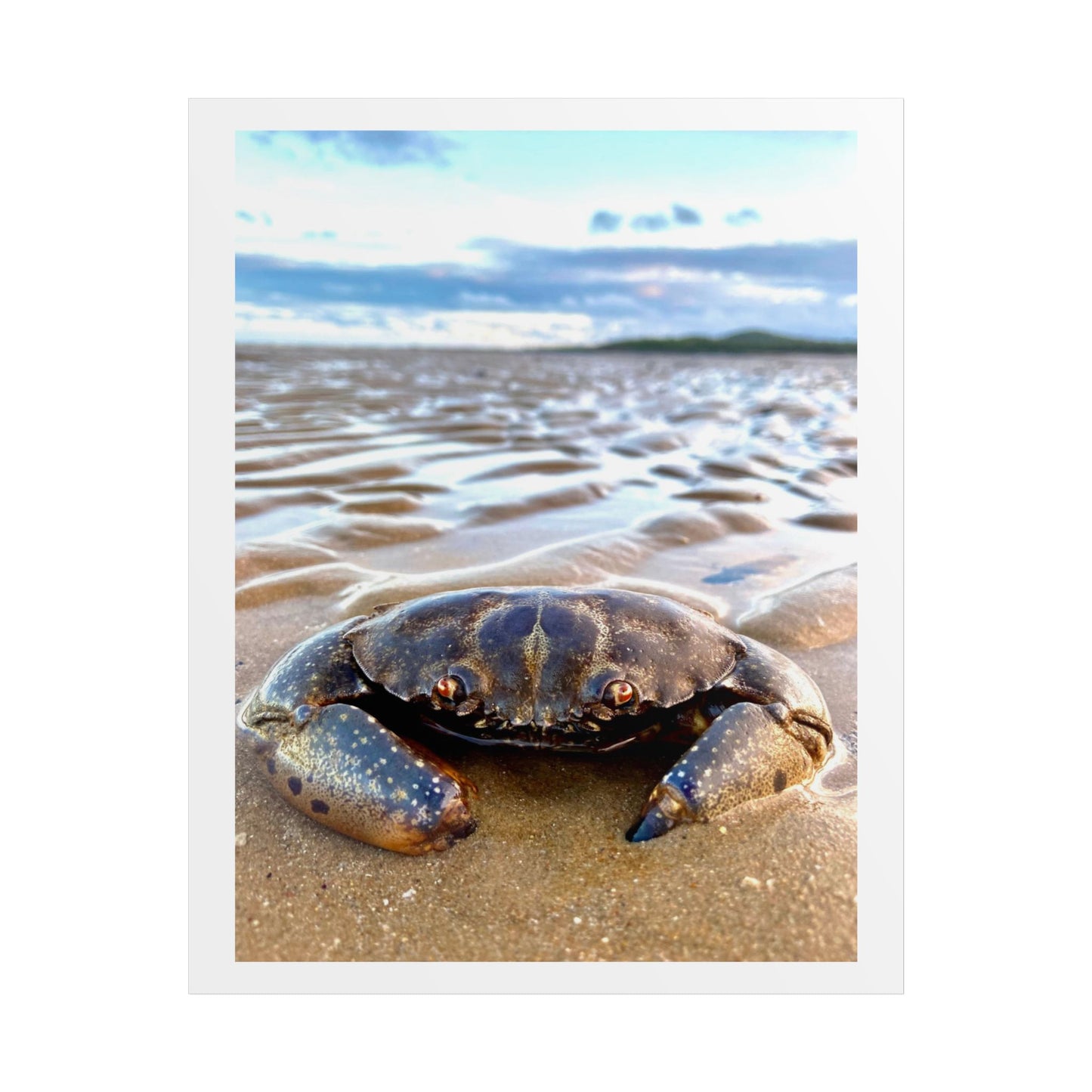 Beach Crab Unframed Poster - Coastal Decor for Nature Lovers