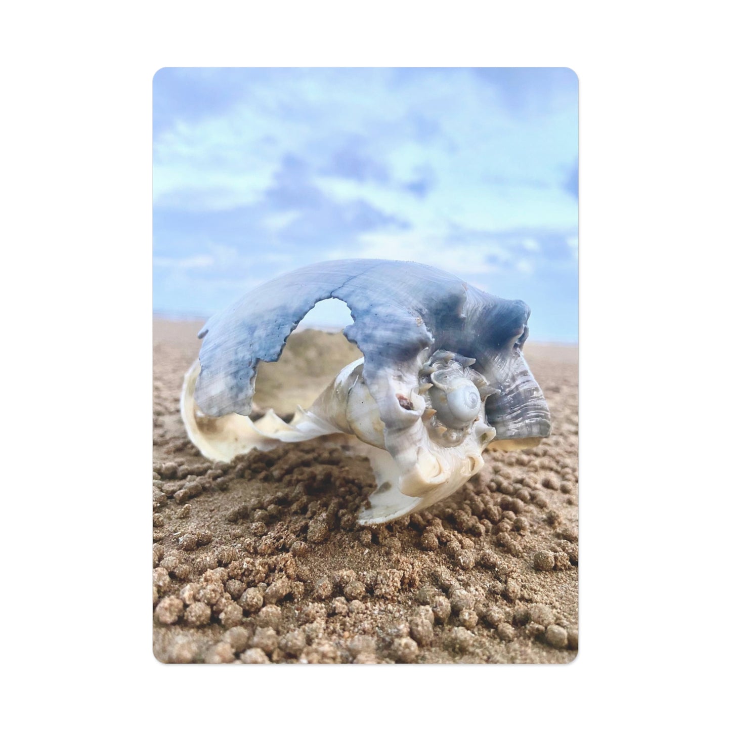 Beach Lovers range- Poker Cards