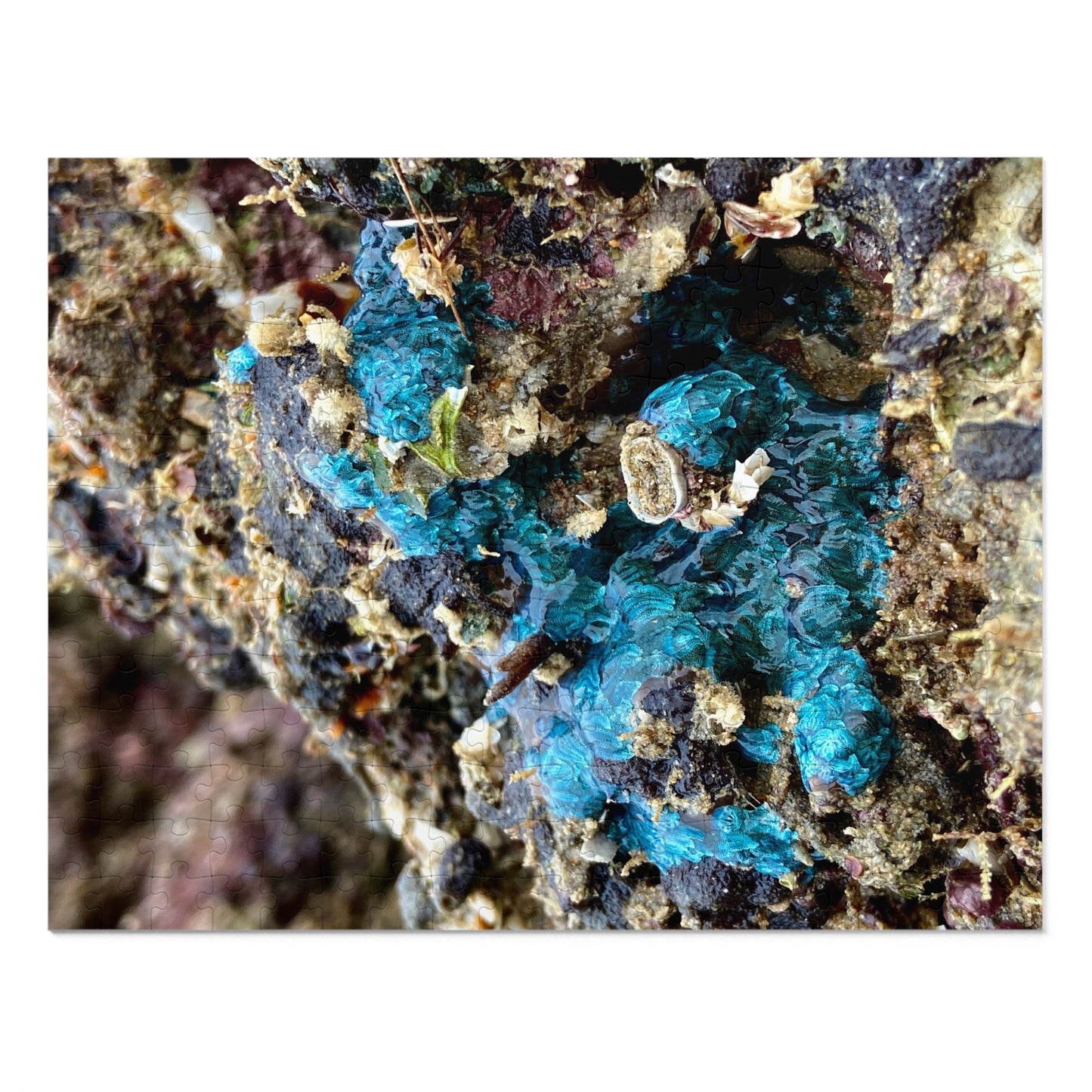 Reef range- Jigsaw Puzzle (30, 110, 252, 500,1000-Piece)