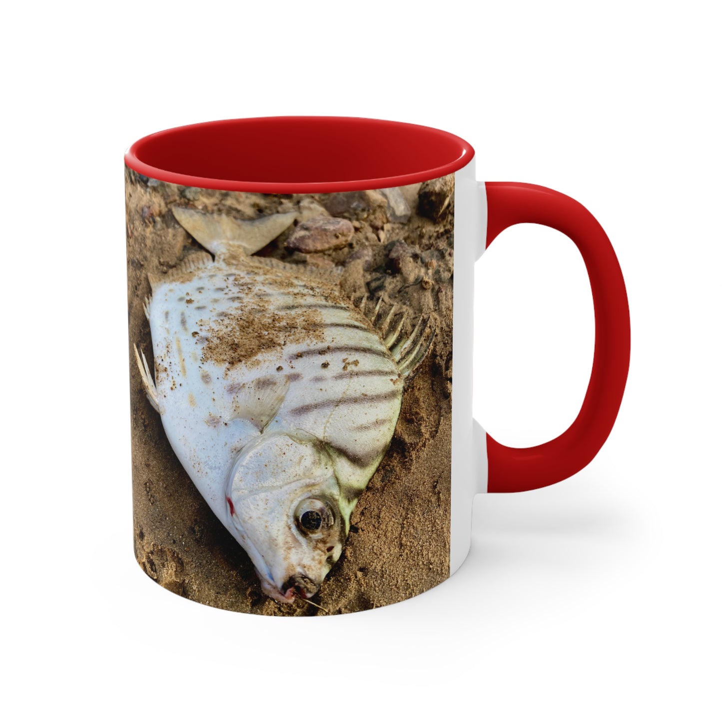 Purposeful Wandering Scat Fish Accent Mug – 11oz Colorful Coffee Cup for Nature Lovers