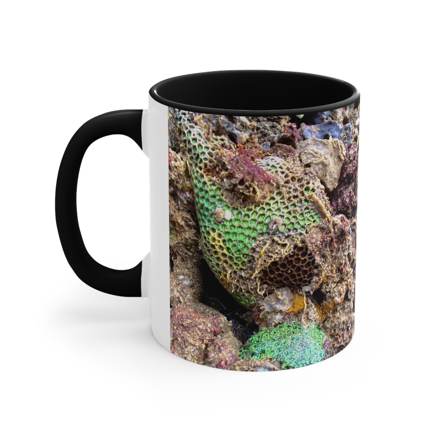 Reef range- AUS PRINT Colorful Accent Mugs, 11oz