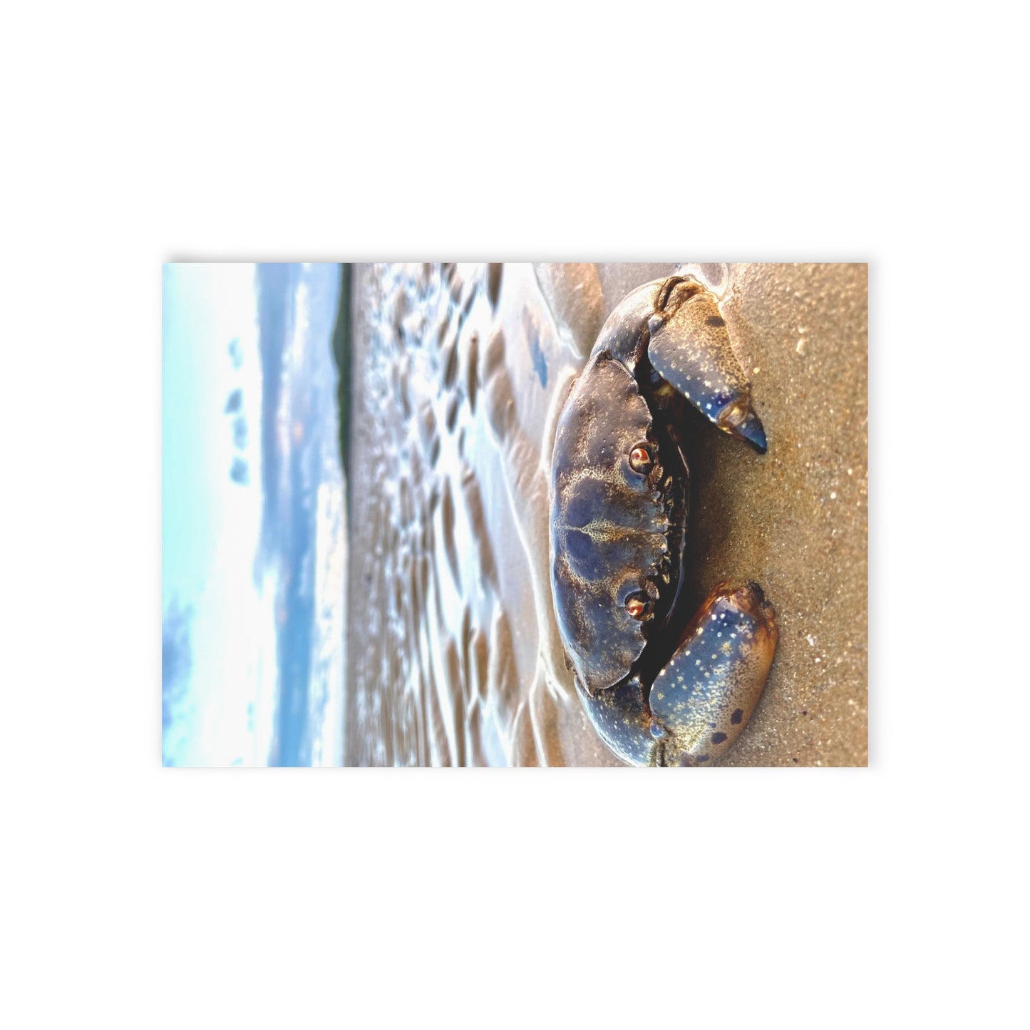 Beach Lovers range- Holiday Cards (Two-sided print)