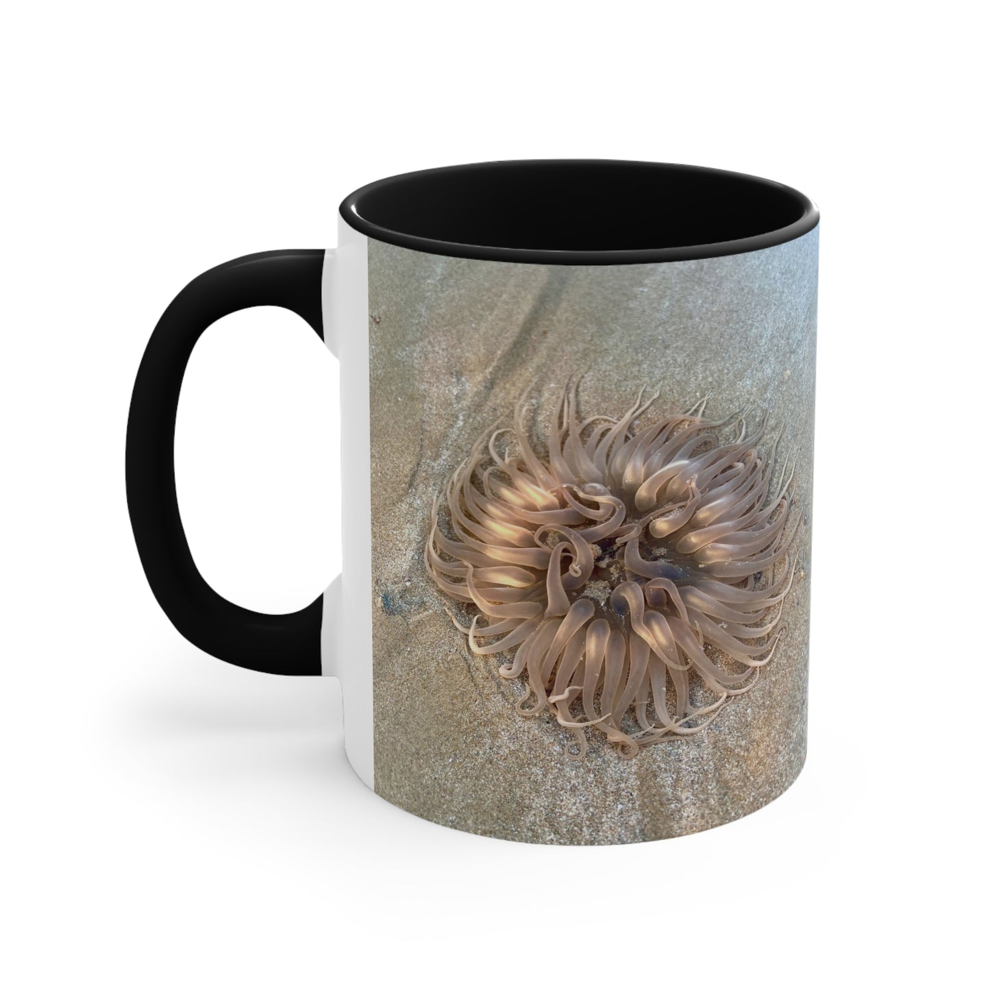Reef range- AUS PRINT Colorful Accent Mugs, 11oz