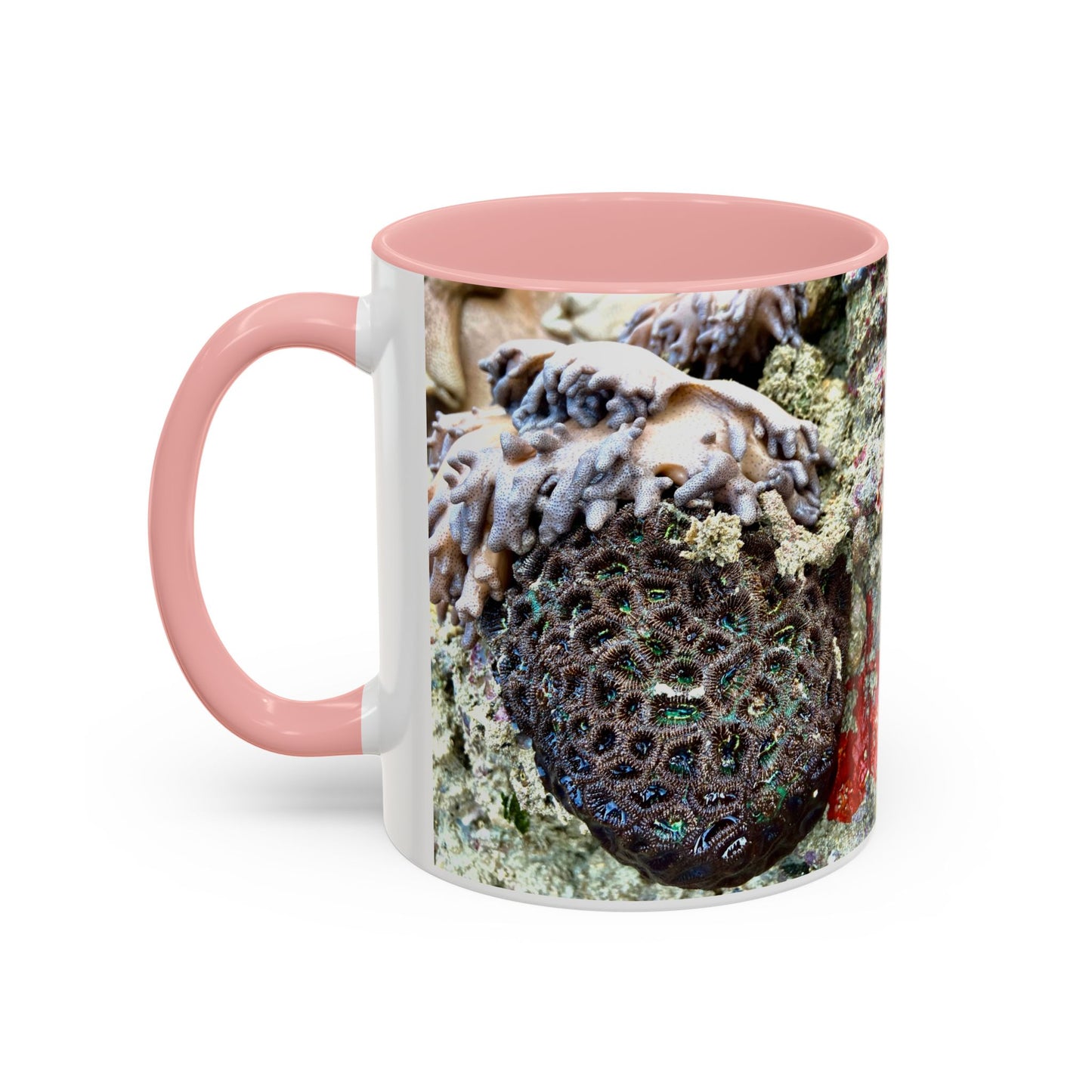 Reef range Accent Coffee Mug (11, 15oz)