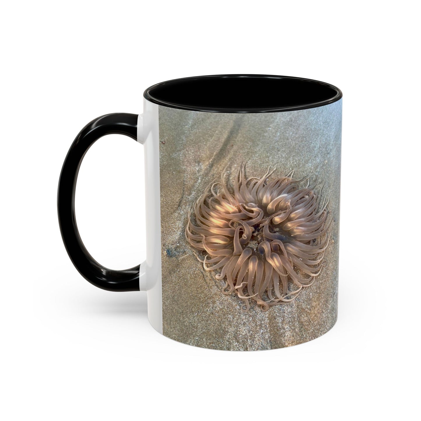 Purposely Wandering Accent Coffee Mug - Unique 11oz & 15oz Drinkware for Nature Lovers