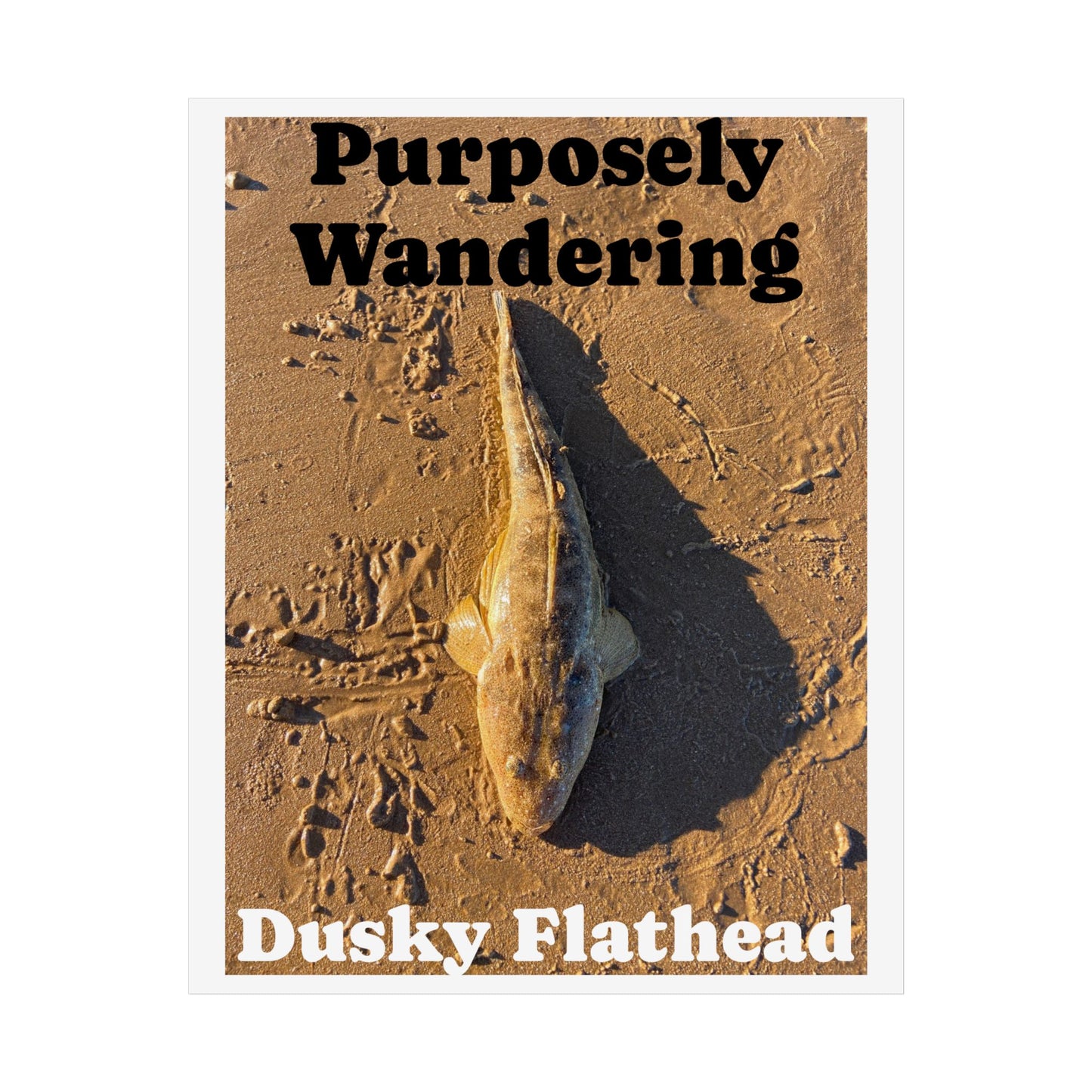 Purposely Wandering Dusky Flathead Unframed Poster - Nature Wall Art for Fishing Enthusiasts
