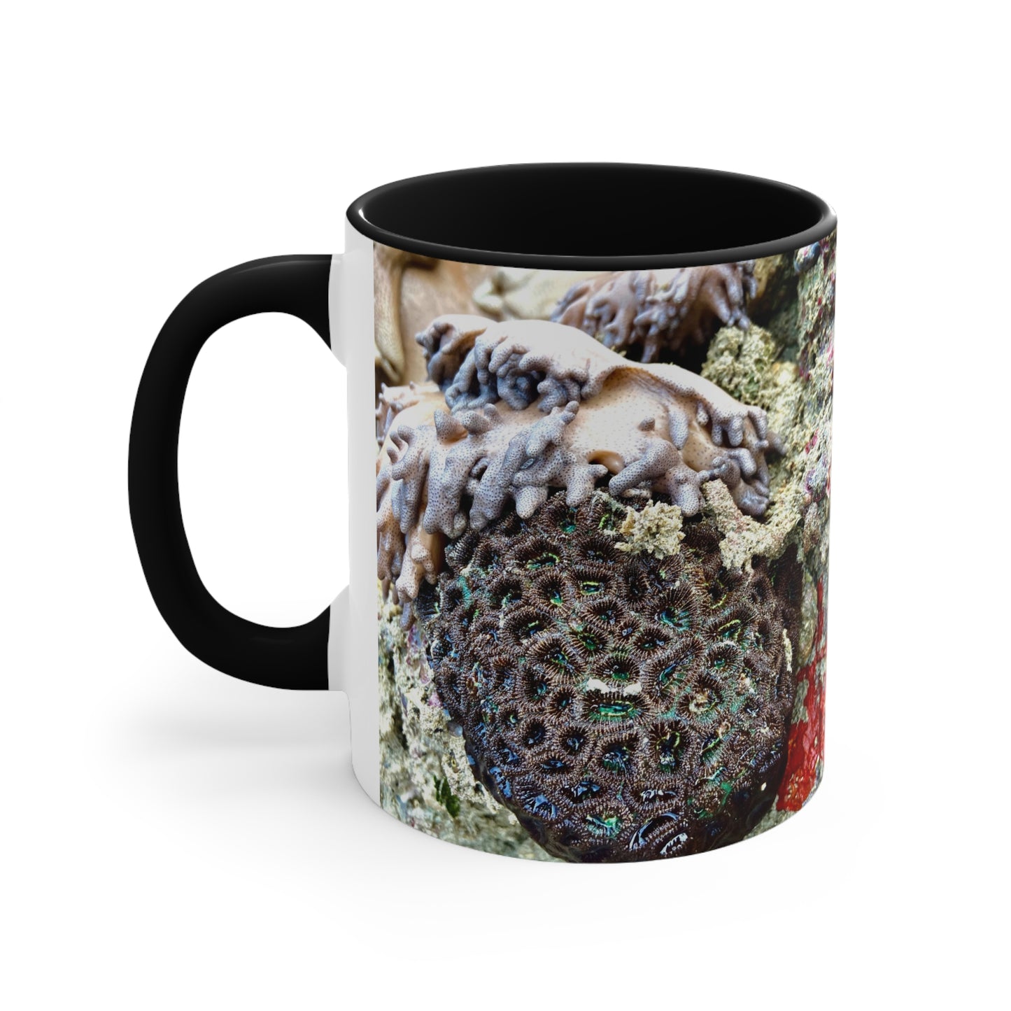 Purposely Wandering Coral Accent Mug - 11oz Colorful Coffee Cup