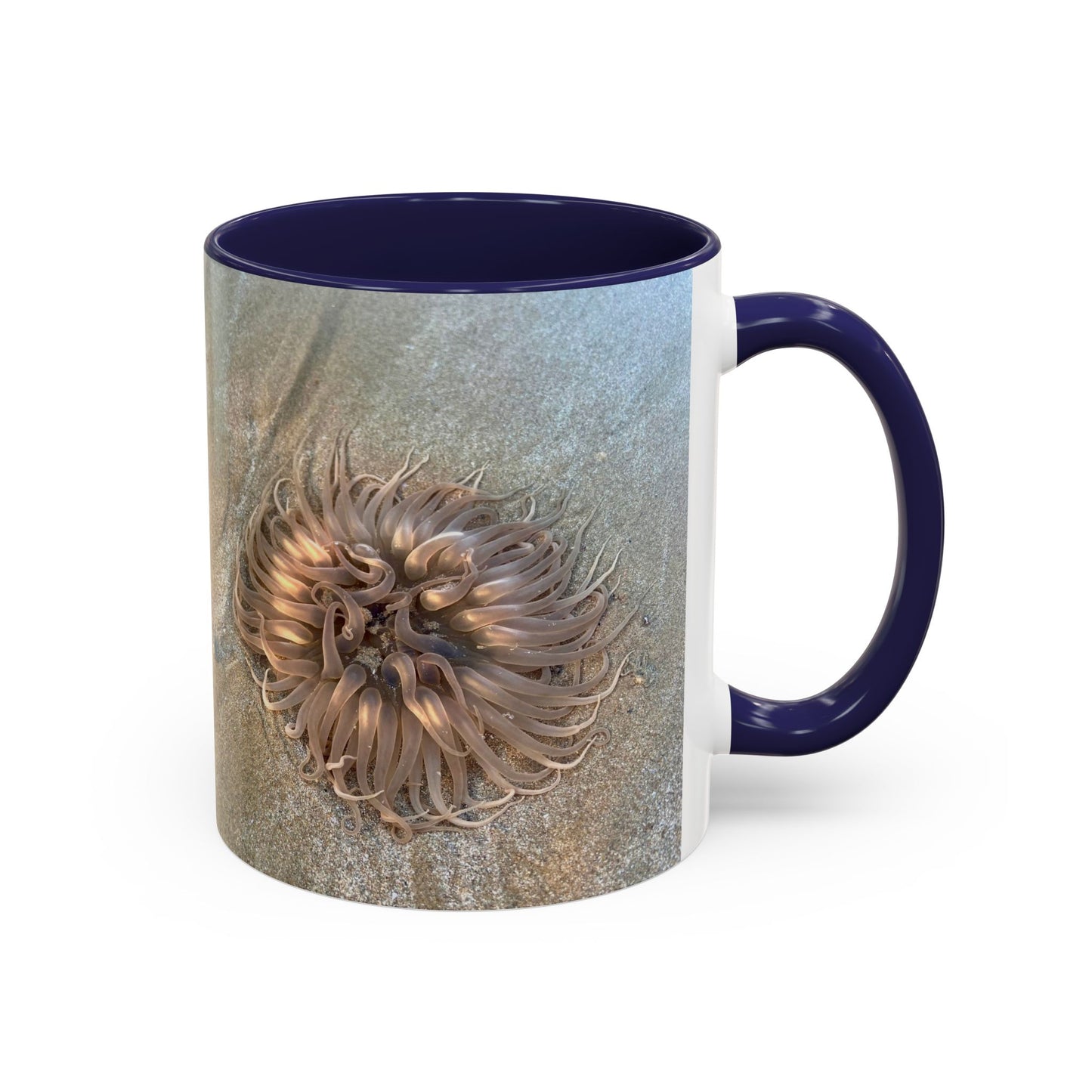Reef range Accent Coffee Mug (11, 15oz)