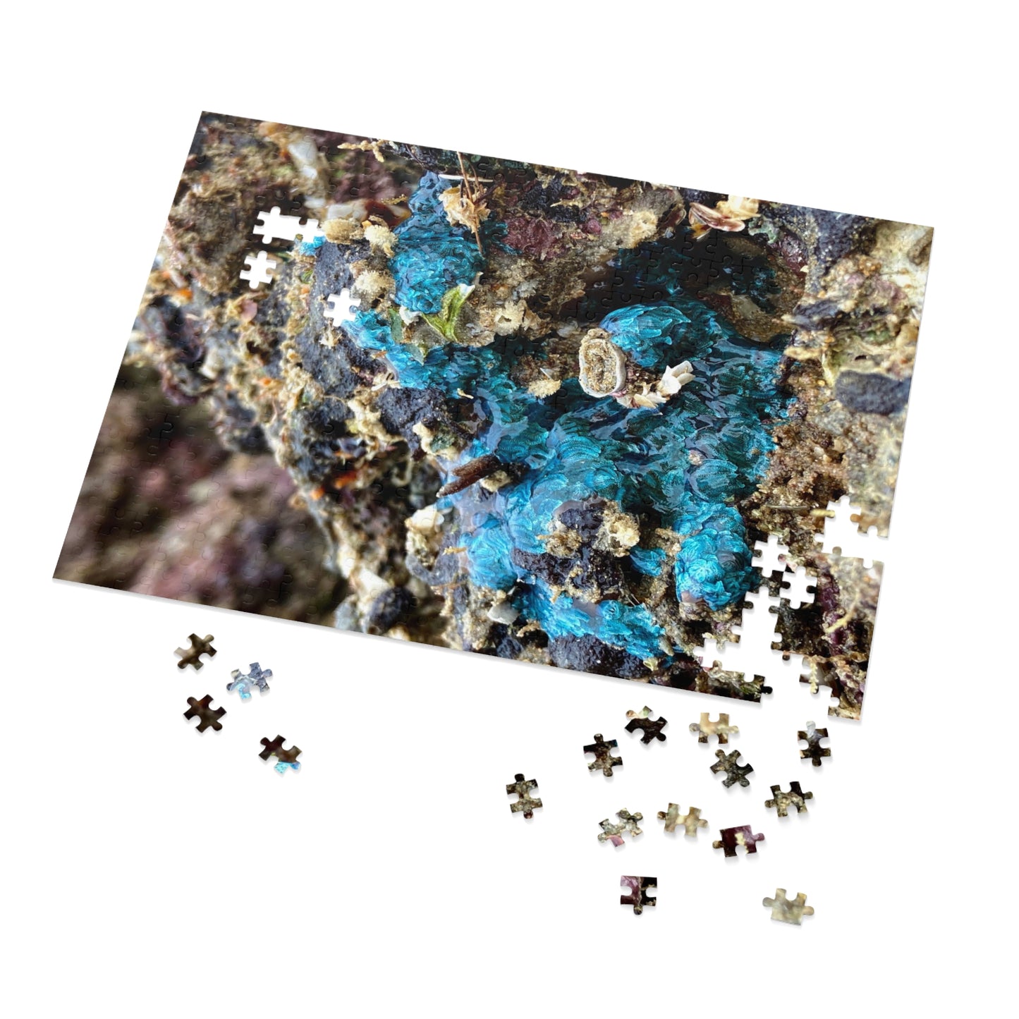 Reef range- Jigsaw Puzzle (30, 110, 252, 500,1000-Piece)