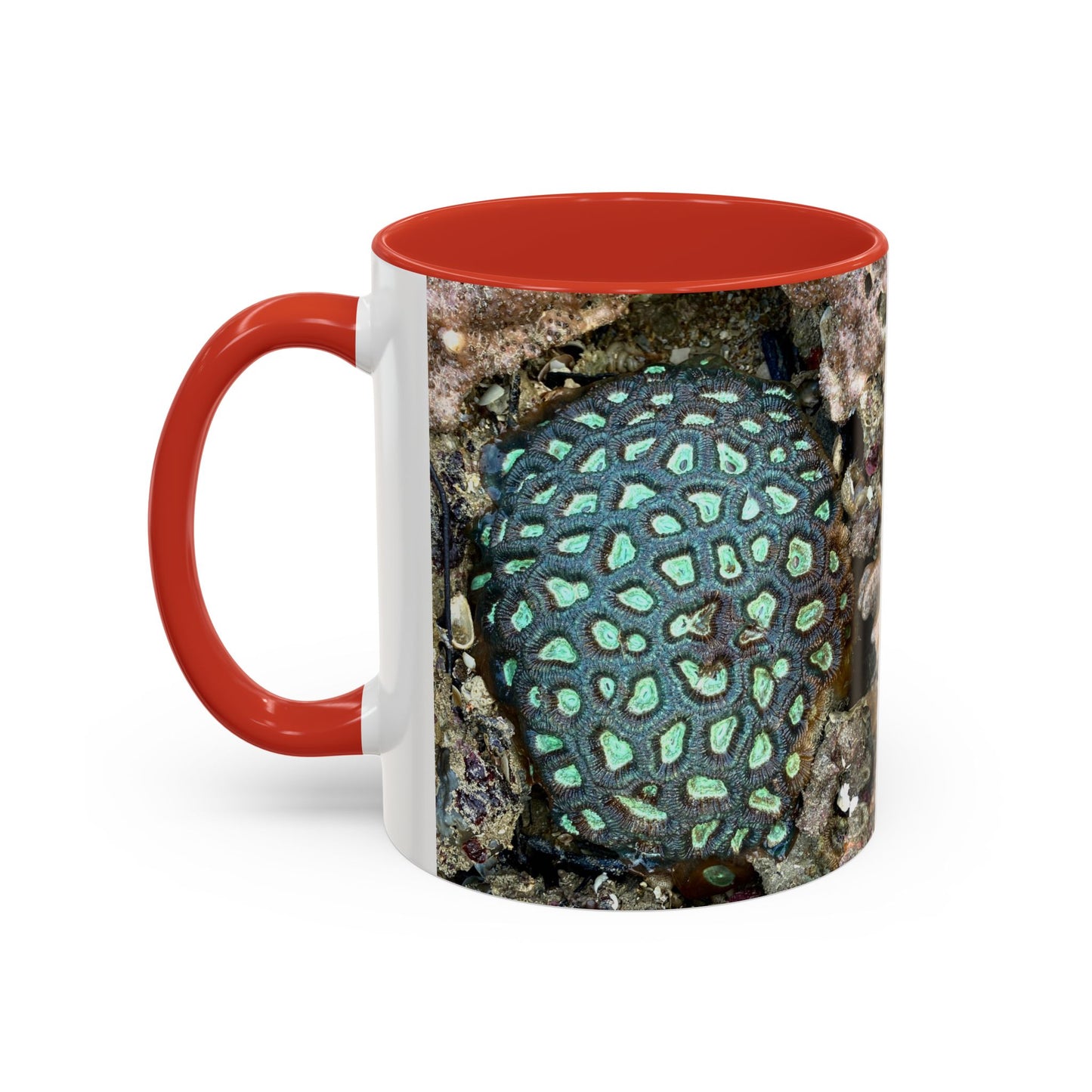 Reef range Accent Coffee Mug (11, 15oz)