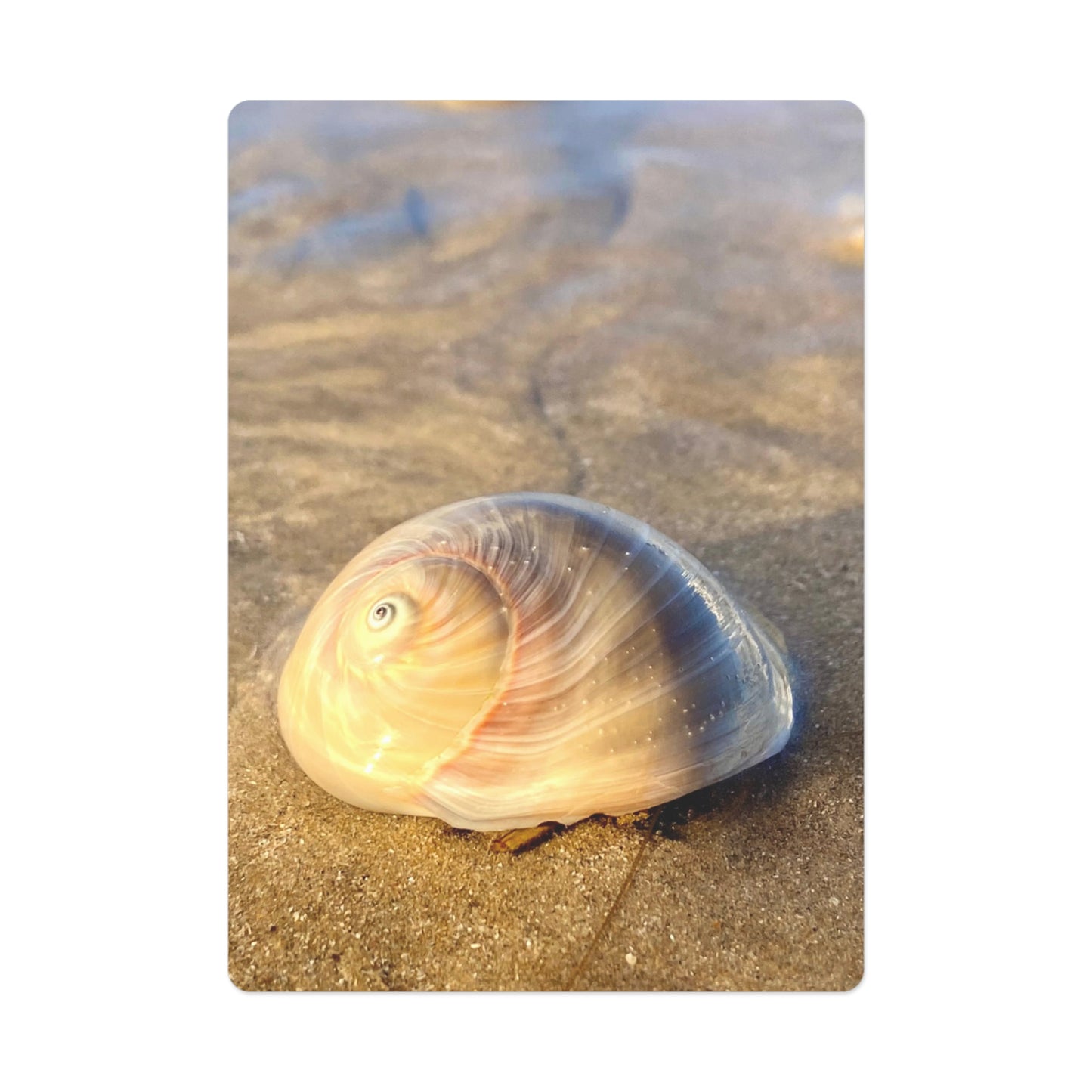 Beach Lovers range- Poker Cards