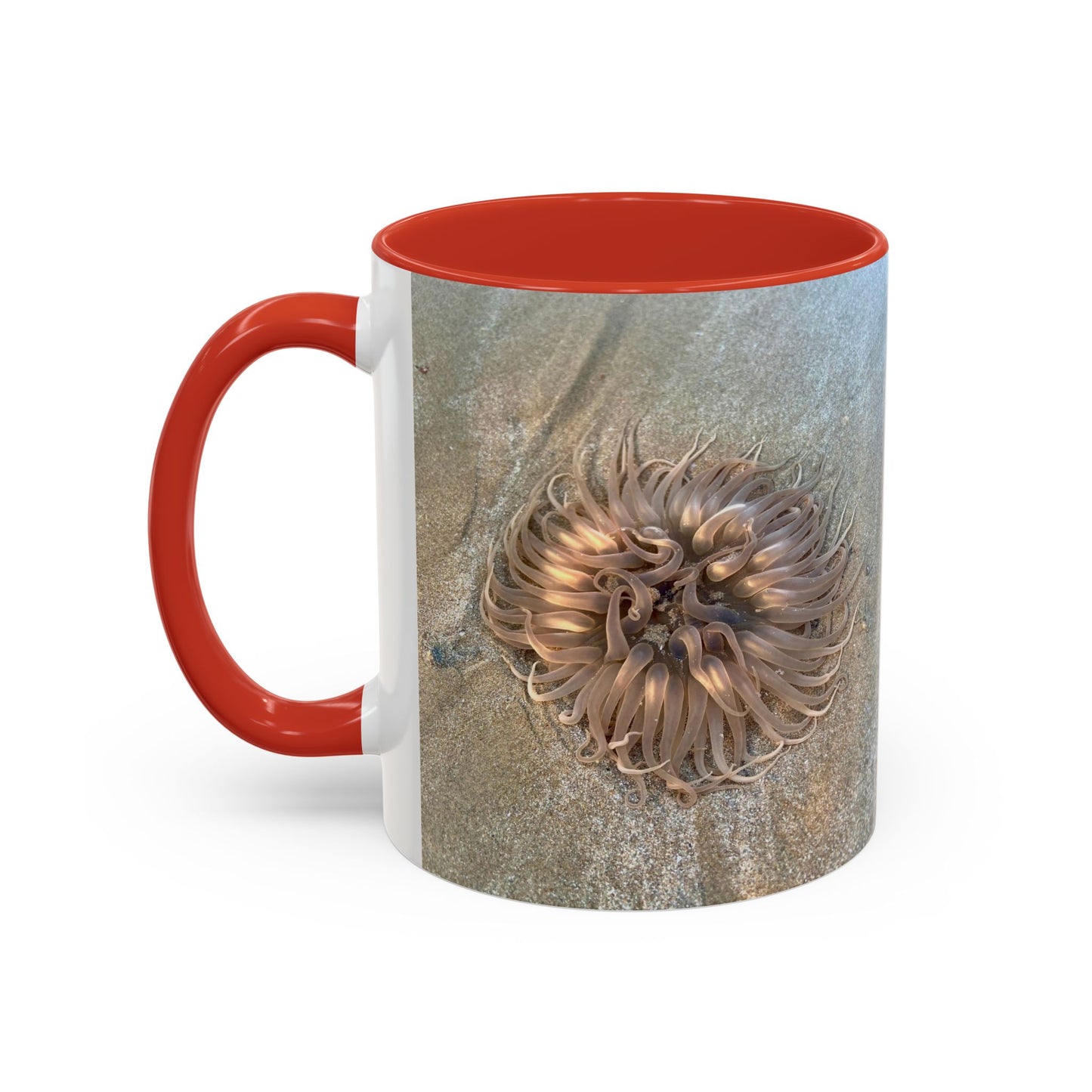 Purposely Wandering Accent Coffee Mug - Unique 11oz & 15oz Drinkware for Nature Lovers
