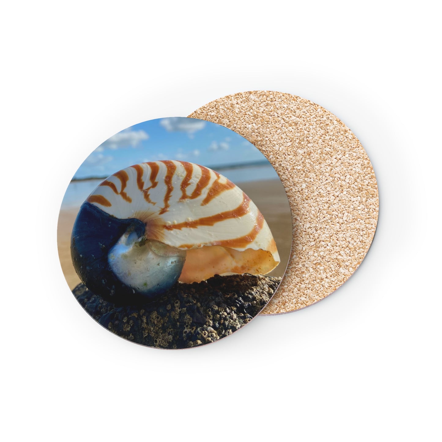 Ocean-Inspired Nautilus Coasters - Coastal Home Decor