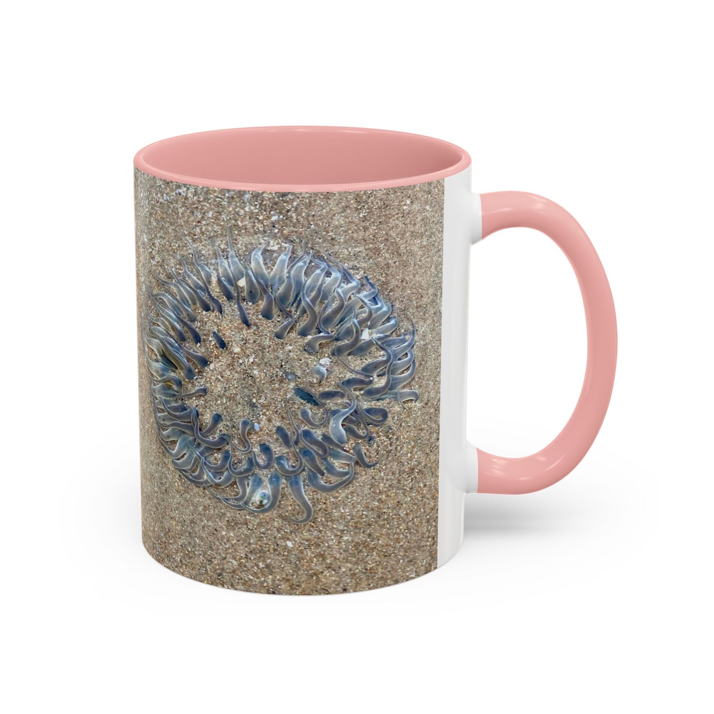 Reef range Accent Coffee Mug (11, 15oz)