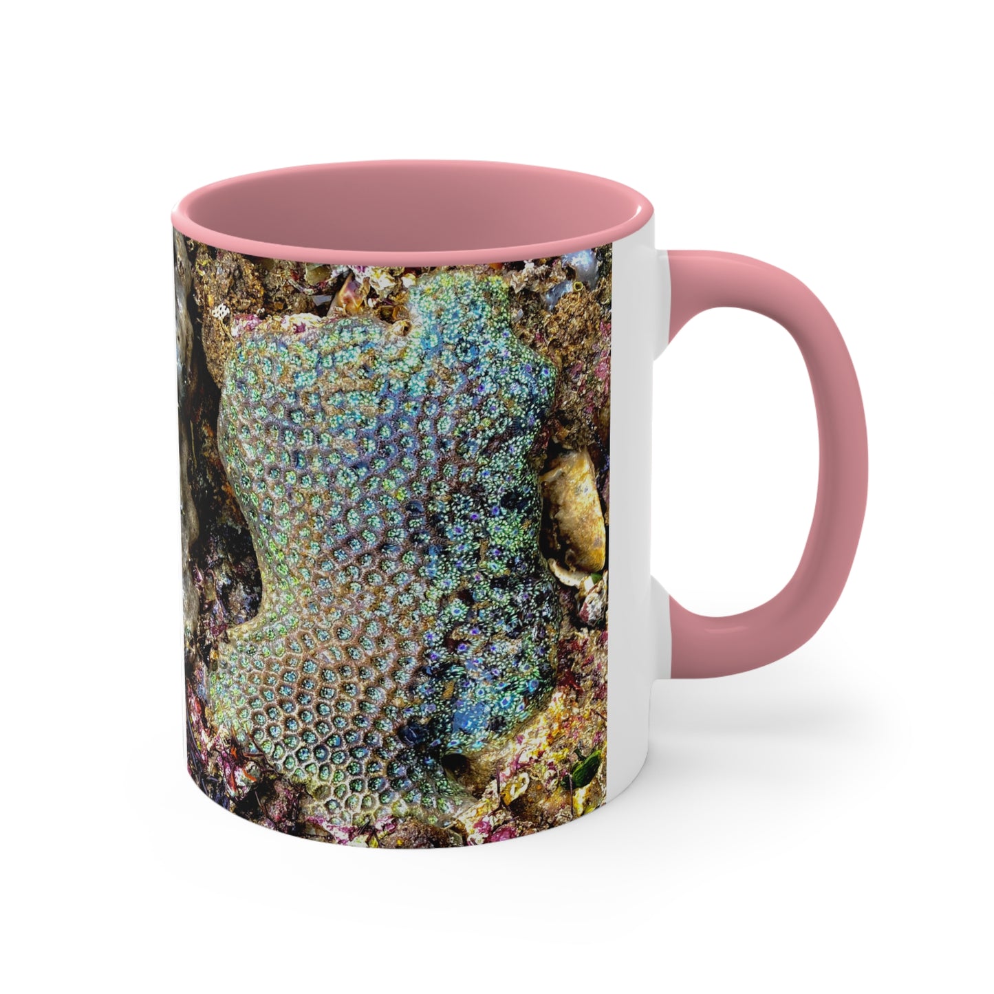 Reef range- AUS PRINT Colorful Accent Mugs, 11oz