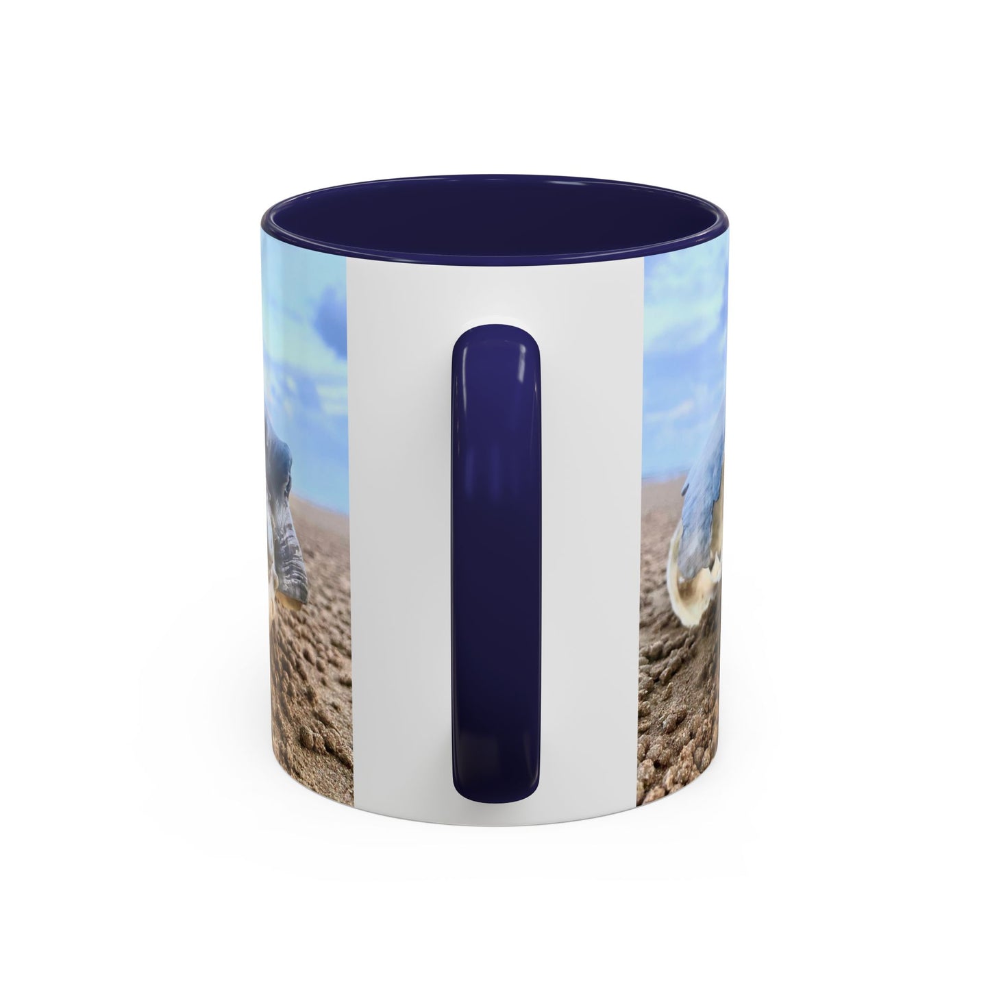 Purposely Wandering Shell Coffee Mug - Beach Vibes | Perfect Gift for Nature Lovers
