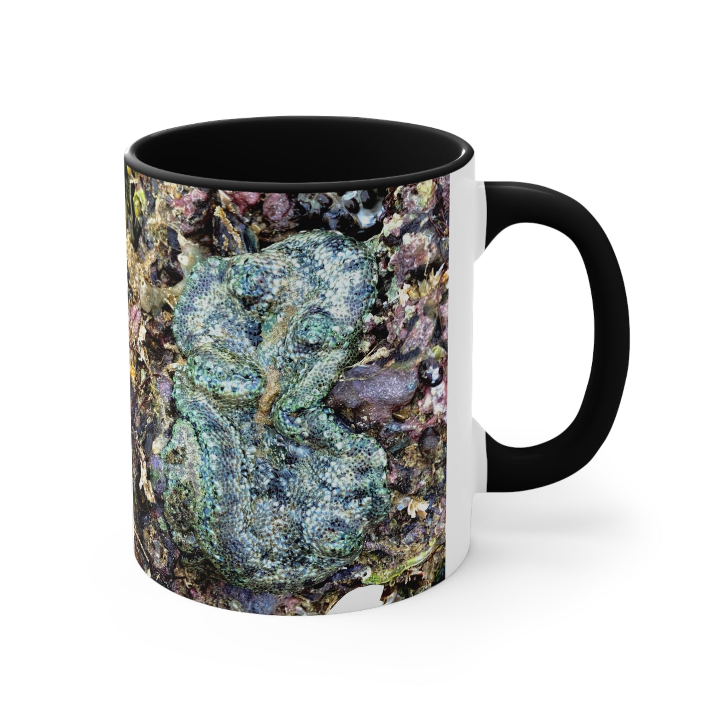 Reef range- AUS PRINT Colorful Accent Mugs, 11oz