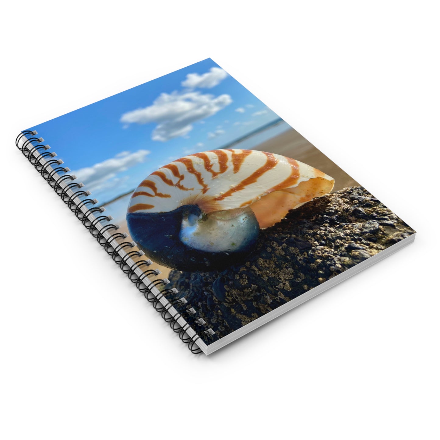 Ocean-Inspired Spiral Notebook - Nautilus Shell Design