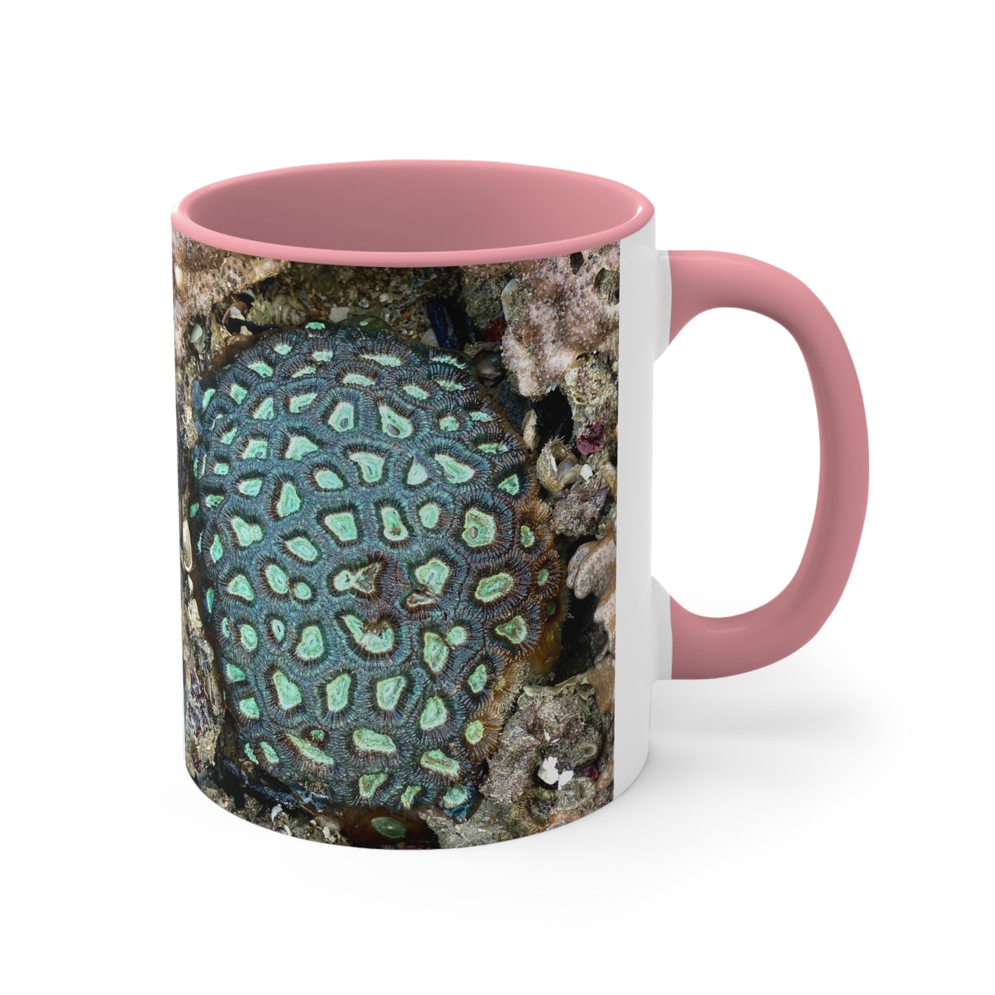 Reef range- AUS PRINT Colourful Accent Mugs, 11oz