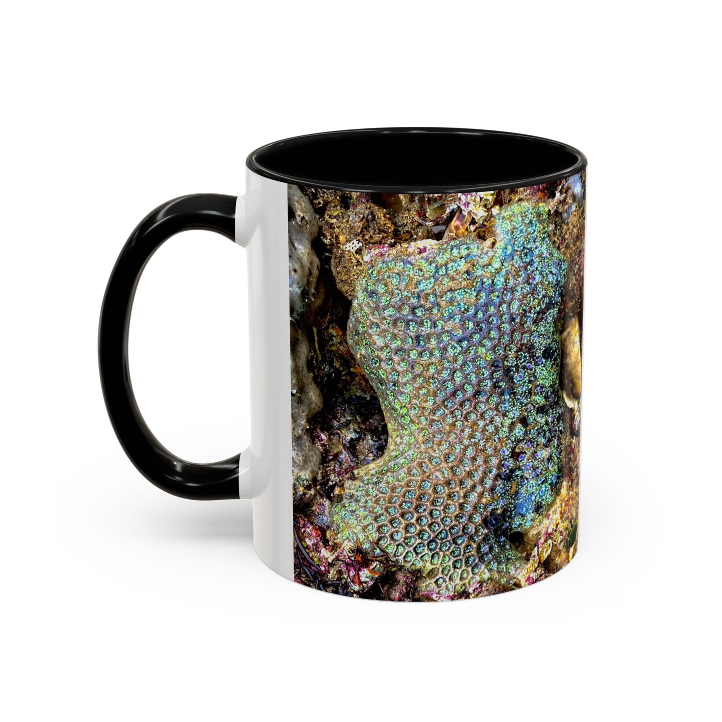 Reef range Accent Coffee Mug (11, 15oz)