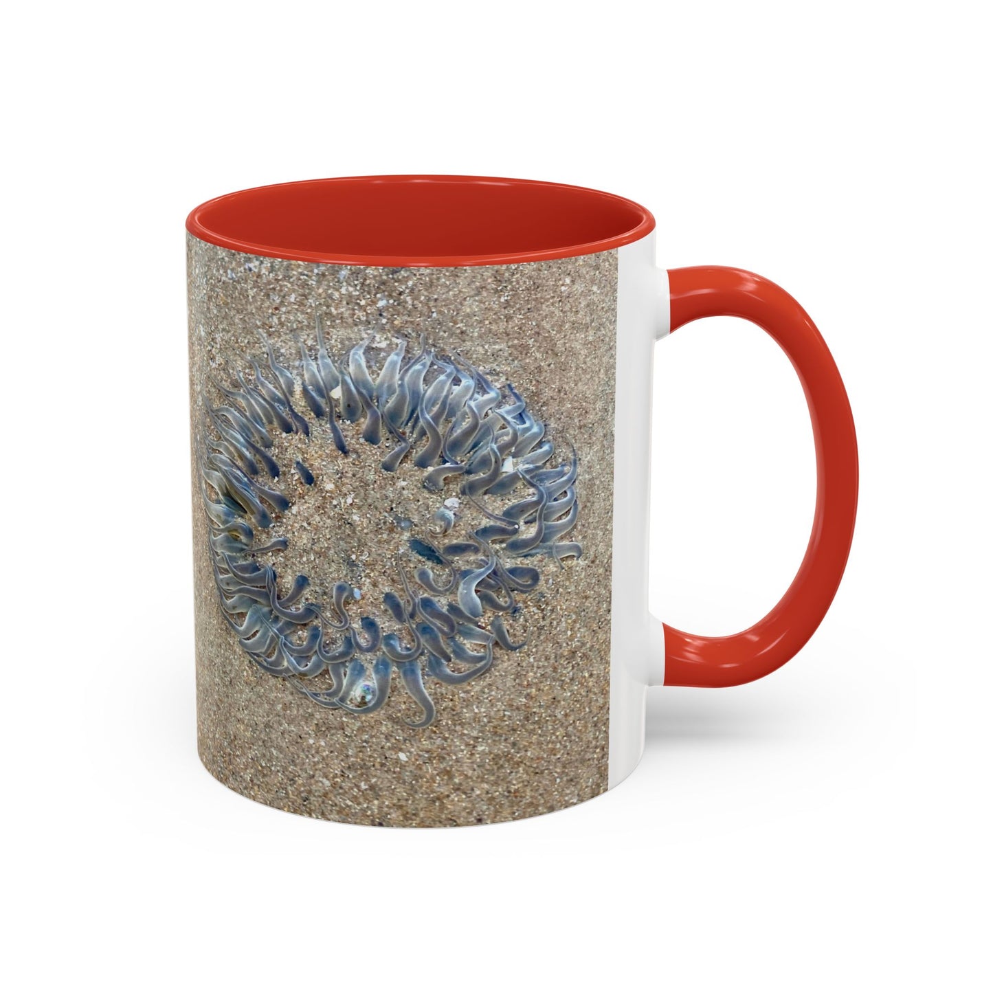 Reef range Accent Coffee Mug (11, 15oz)