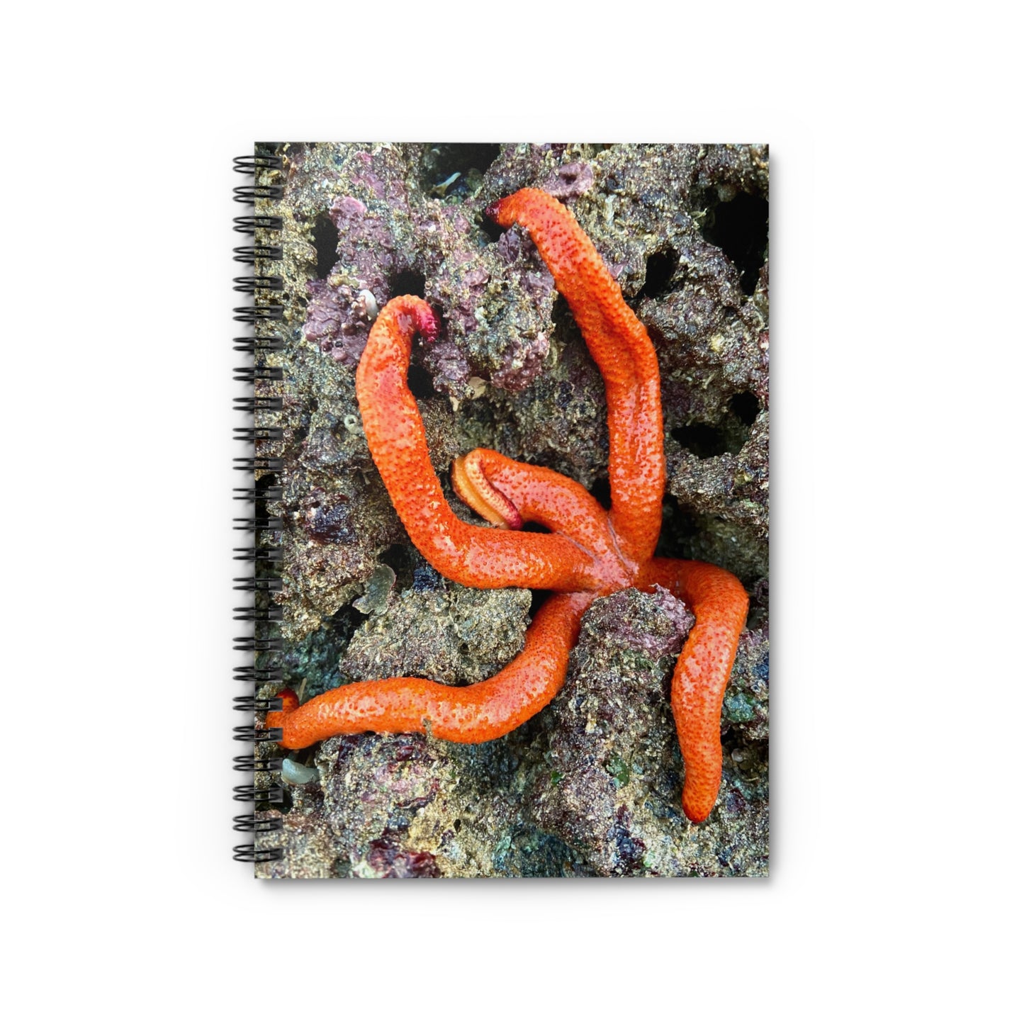 Reef range Spiral Notebook - Ruled Line