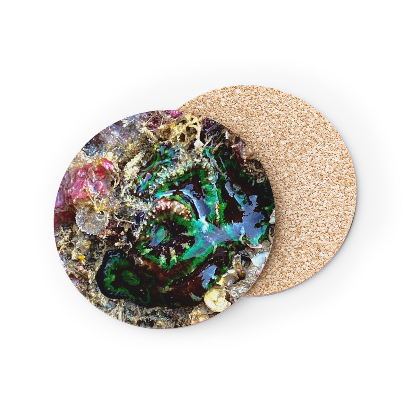 Reef range- AUS PRINT Coasters