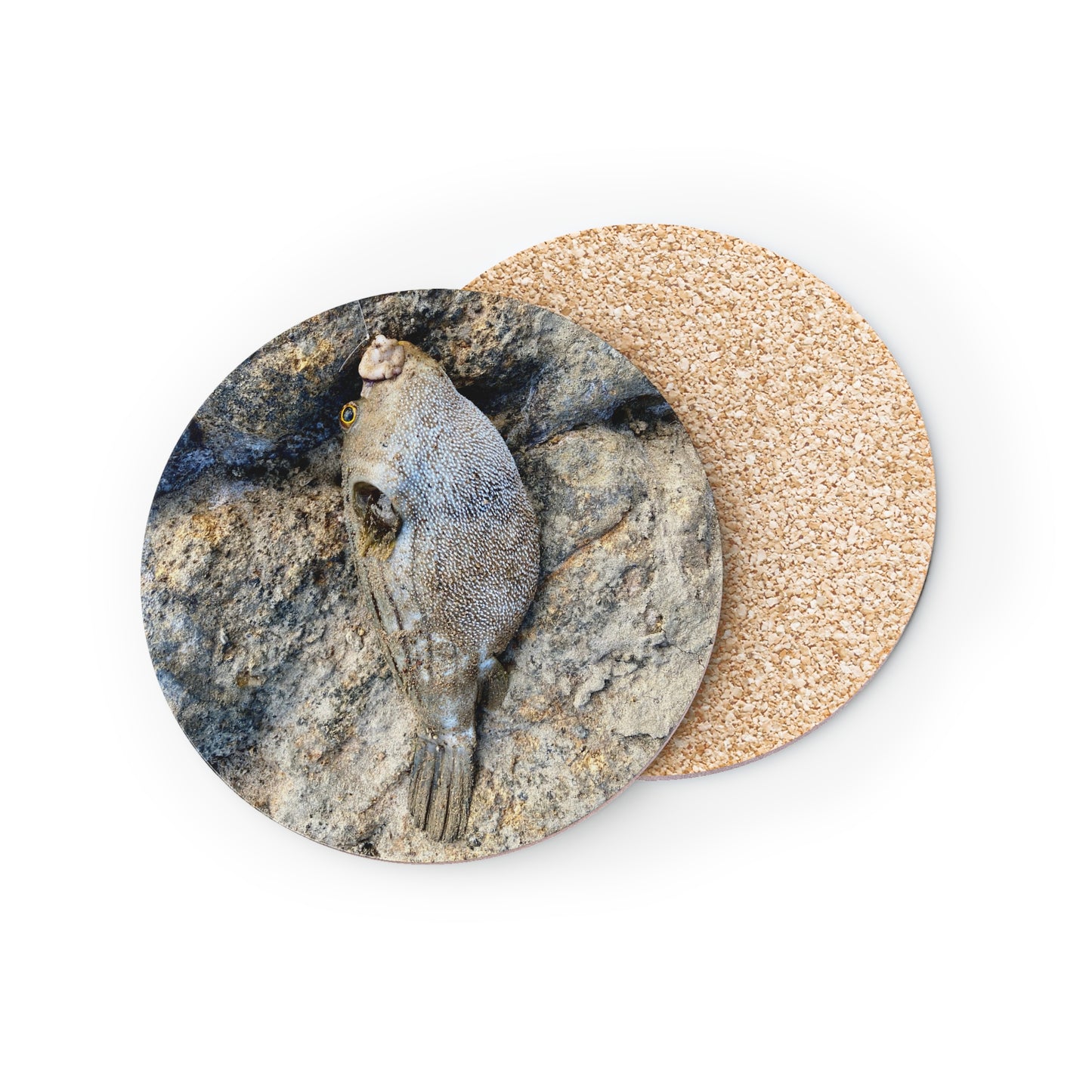 Coastal Fish Coasters – Nautical Home Decor for Ocean Lovers Fishing inspired- Puffer fish