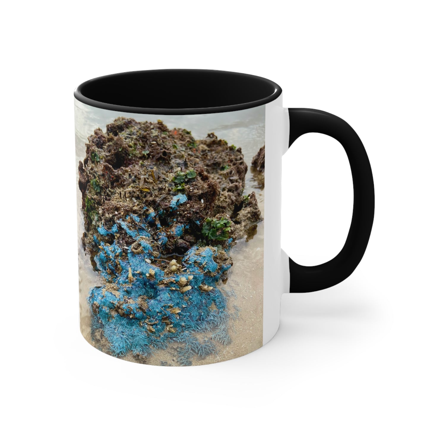 Purposefully Wandering Colorful Accent Mug - 11oz Ocean-Inspired Coffee Cup