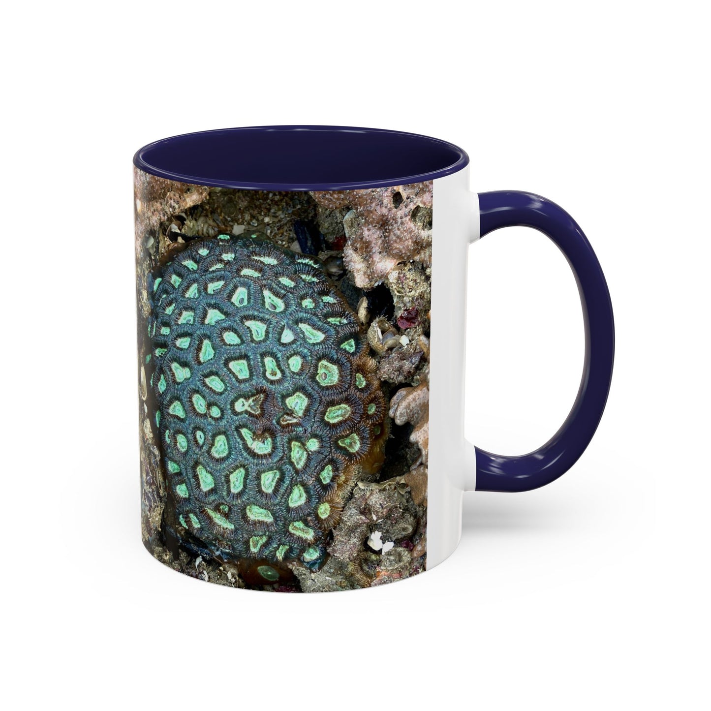 Reef range Accent Coffee Mug (11, 15oz)