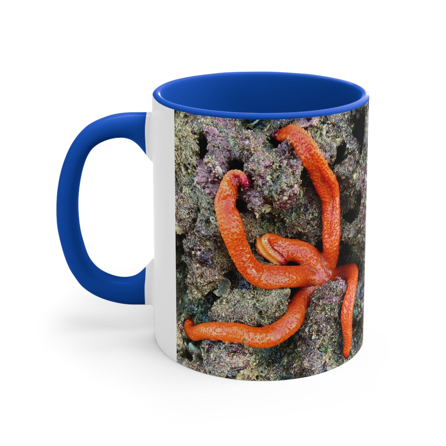 Reef range- AUS PRINT Colorful Accent Mugs, 11oz