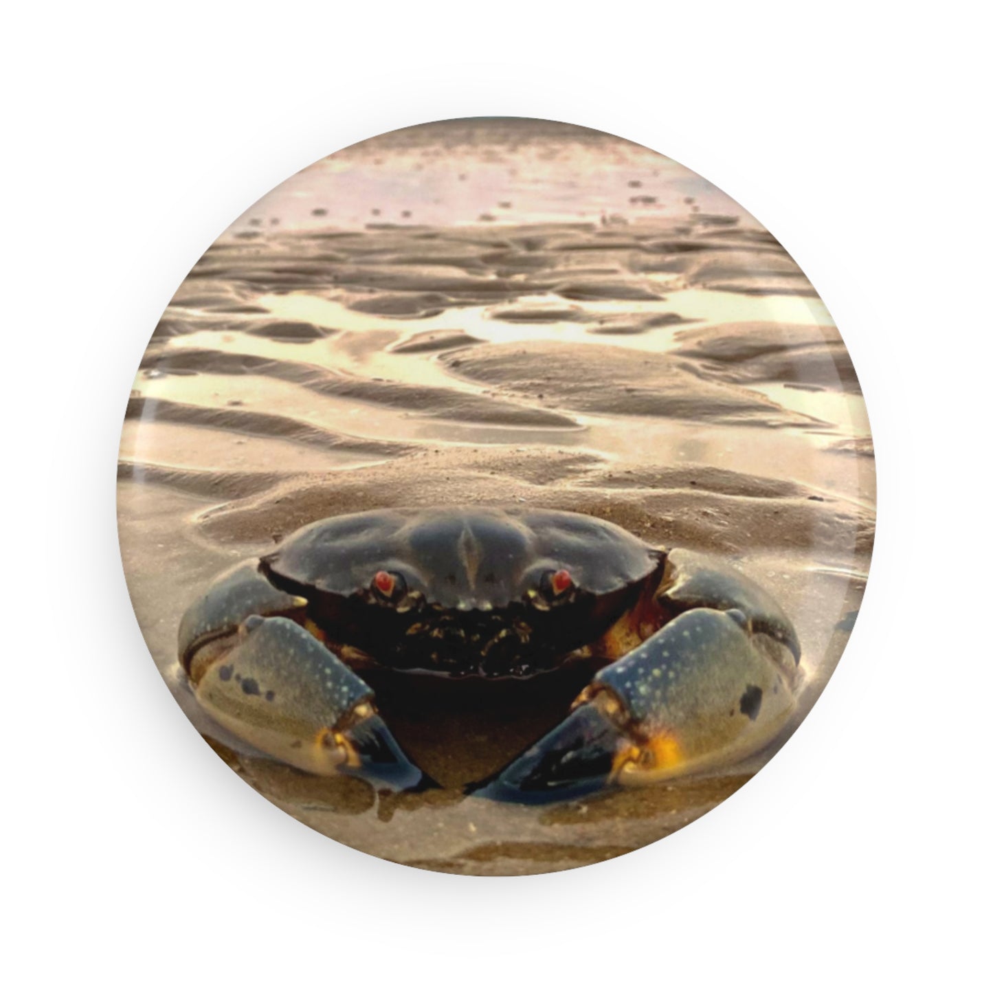 Beach Lovers range- Button Magnet, Round (1 & 10 pcs)